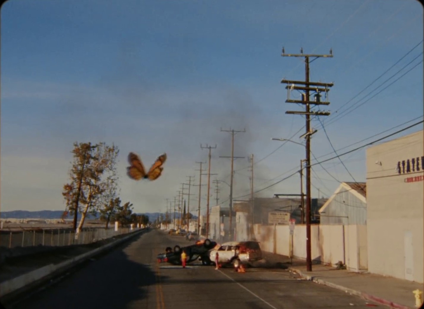 Barefoot In The Park (2019) —  shot,  lighting