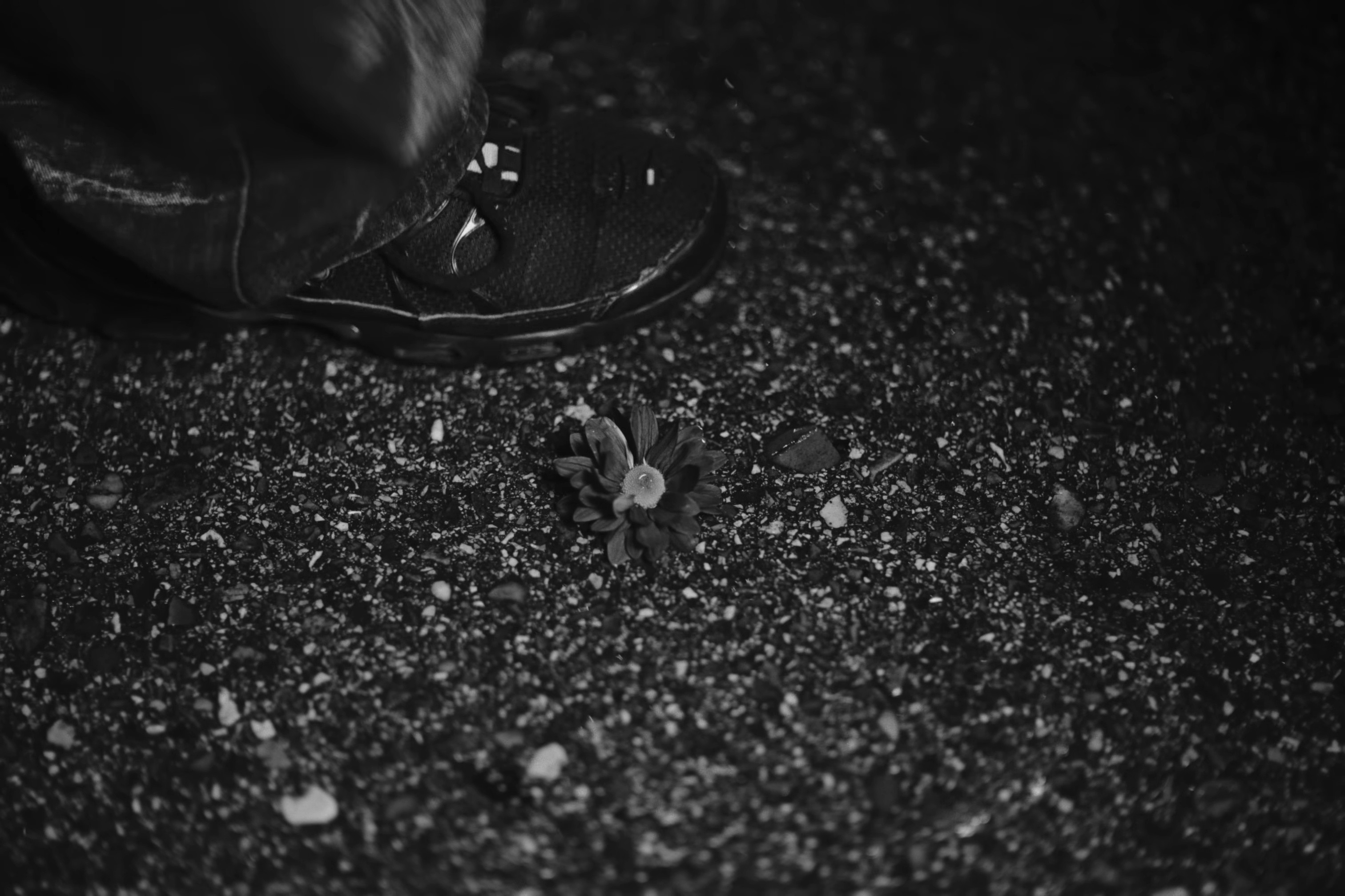 Hasta que haga falta (2024) —  shot,  lighting