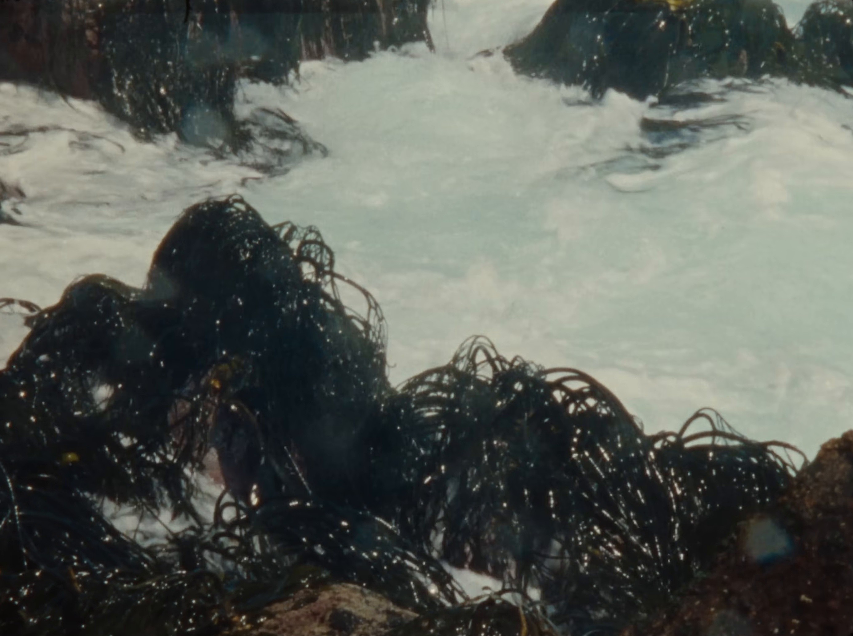 Melancolía (2025) —  shot,  lighting