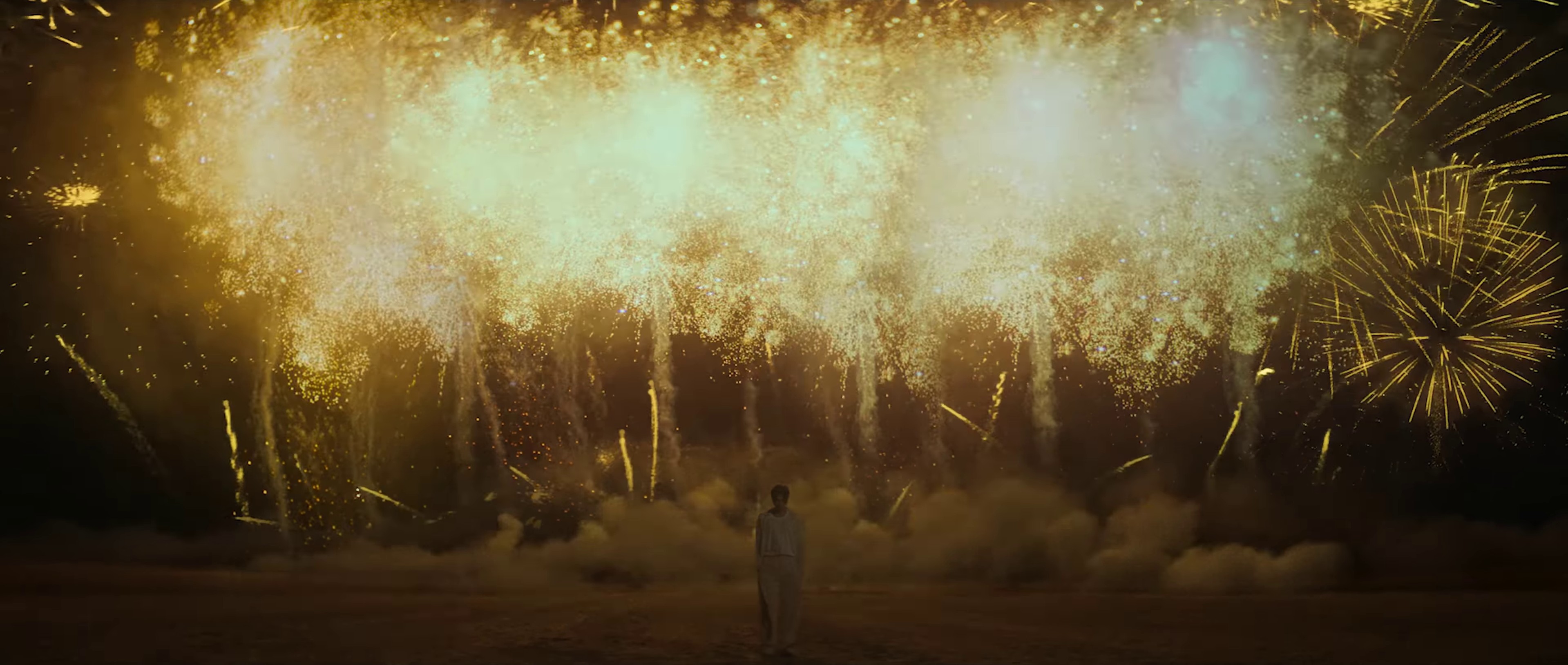 Wild Flower (2022) —  shot,  lighting