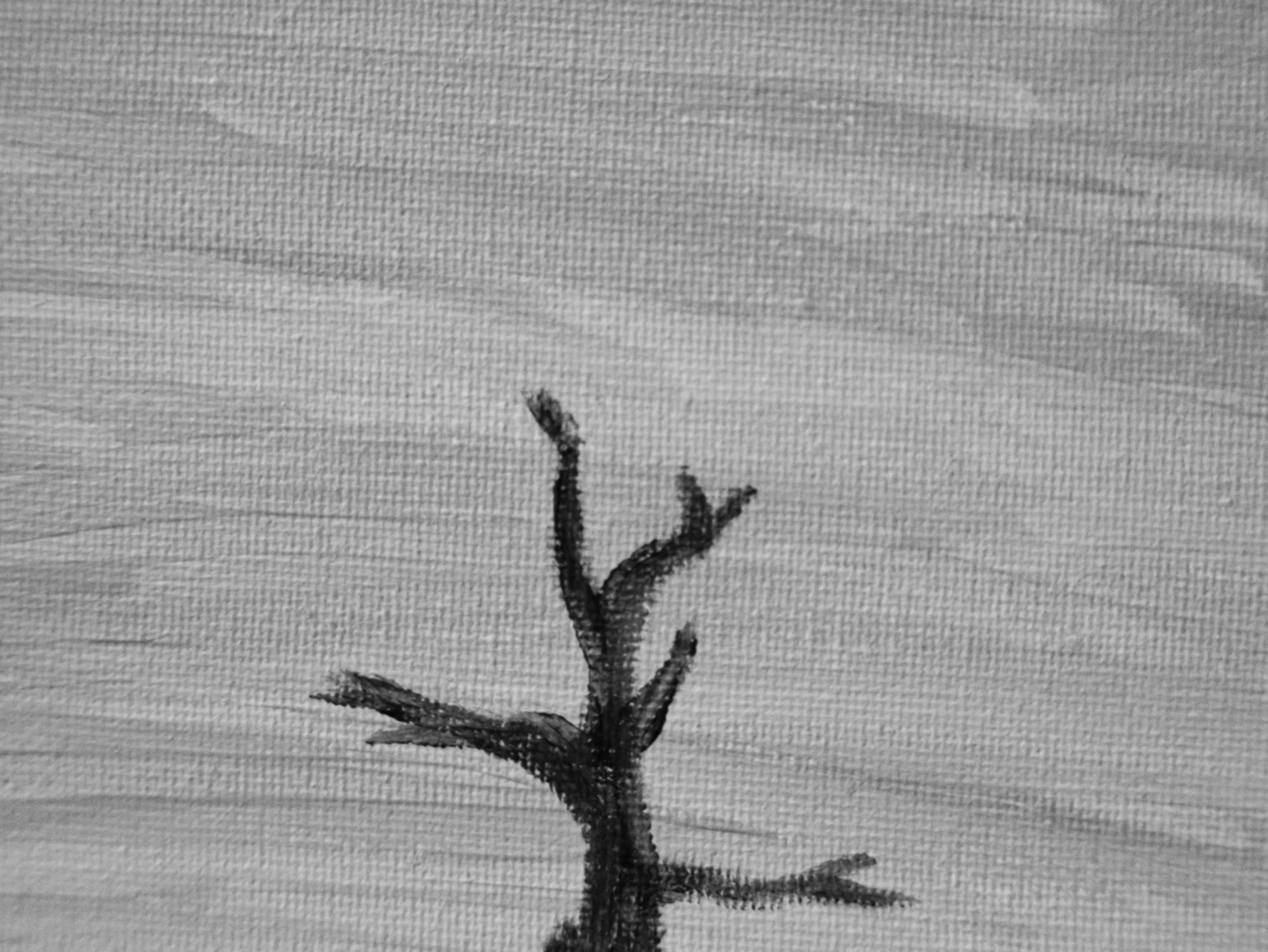 Y si se abren los cielos (2024) —  shot,  lighting