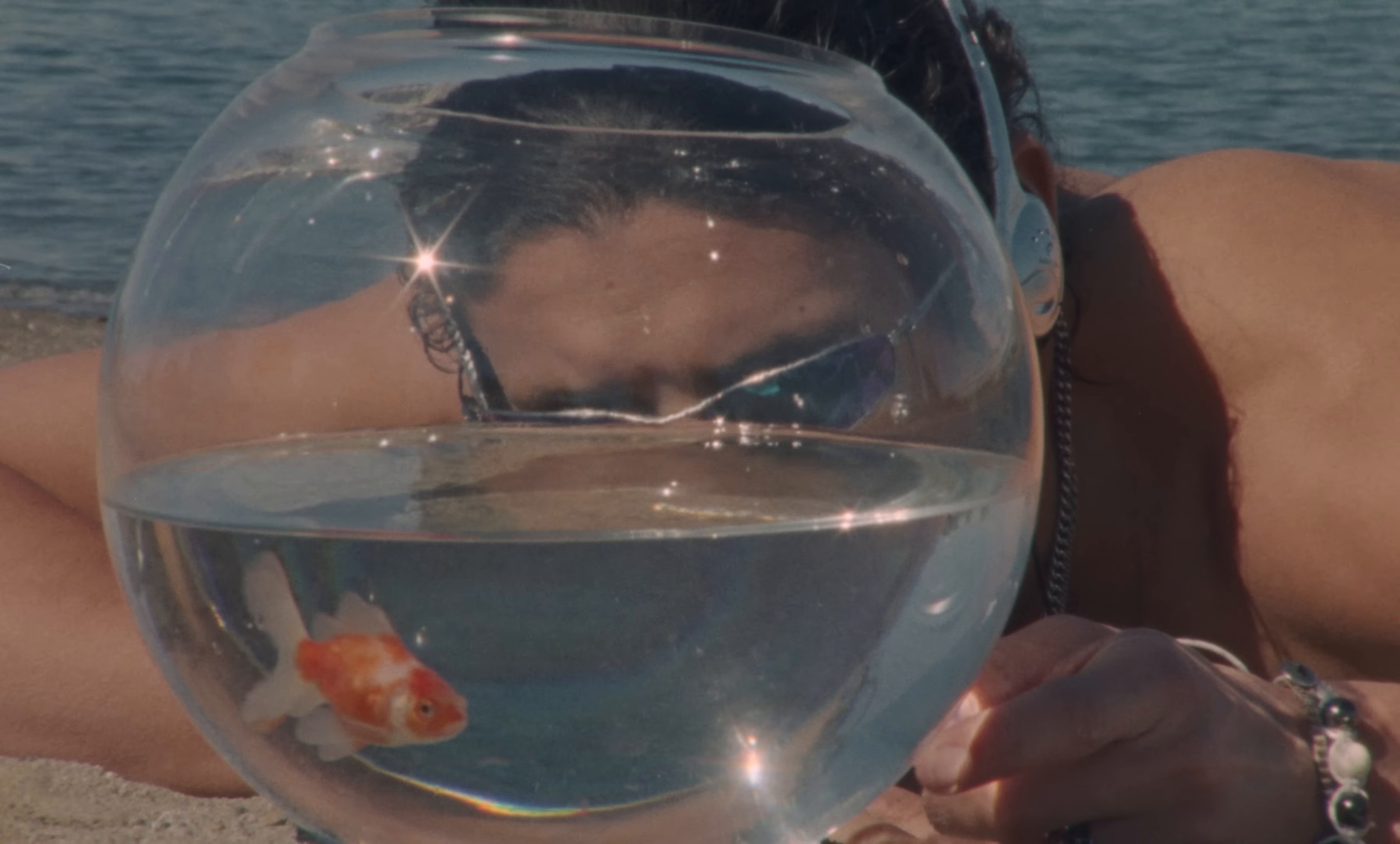 Ivre (2024) —  shot,  lighting