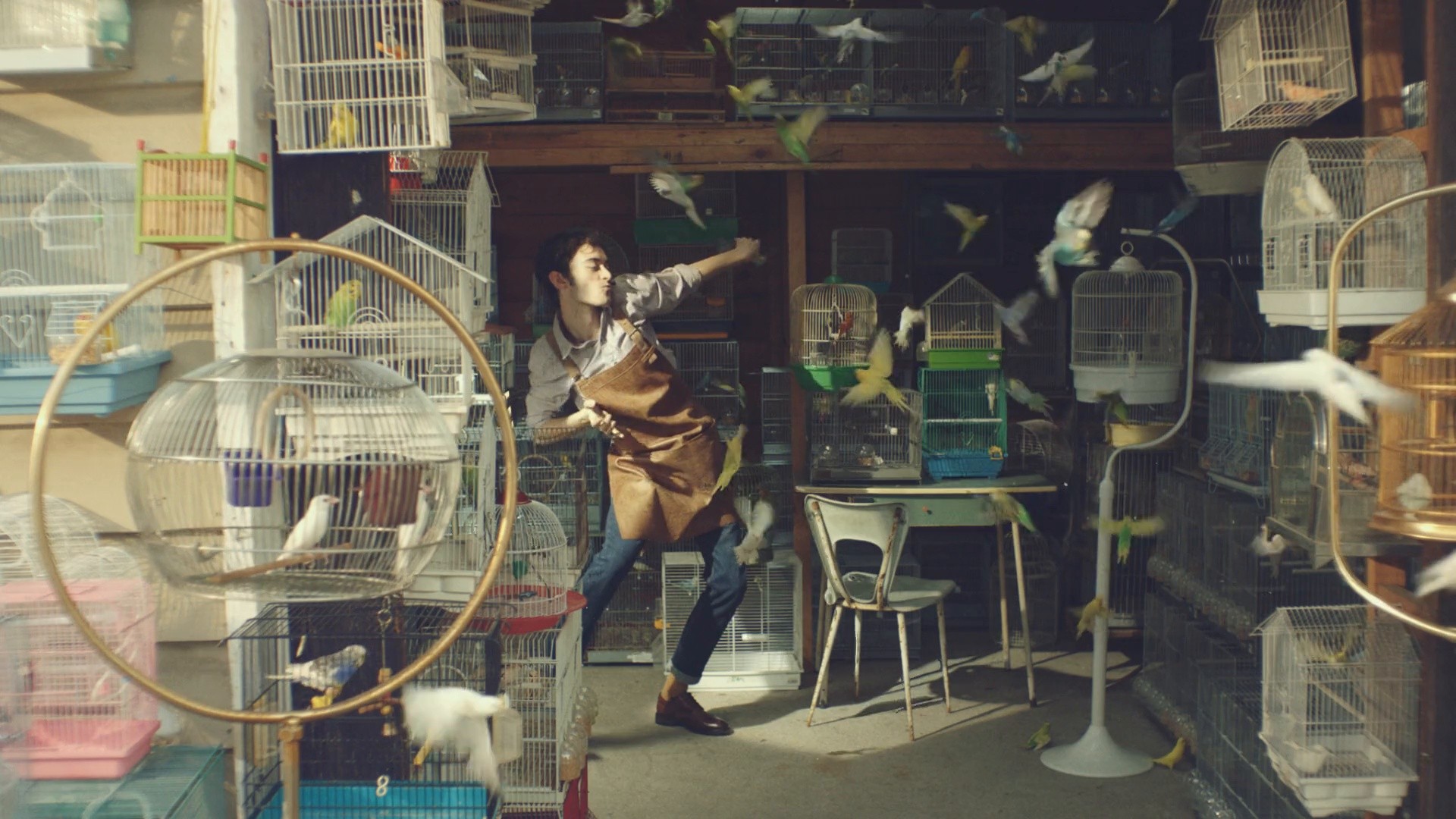 Seat Ibiza - Dance (2017) —  shot,  lighting