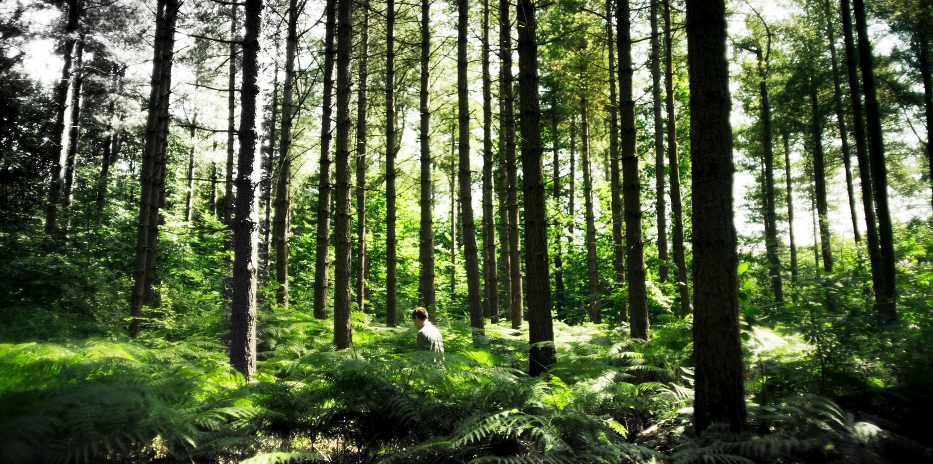 Saturday - The Son (2020) —  shot,  lighting