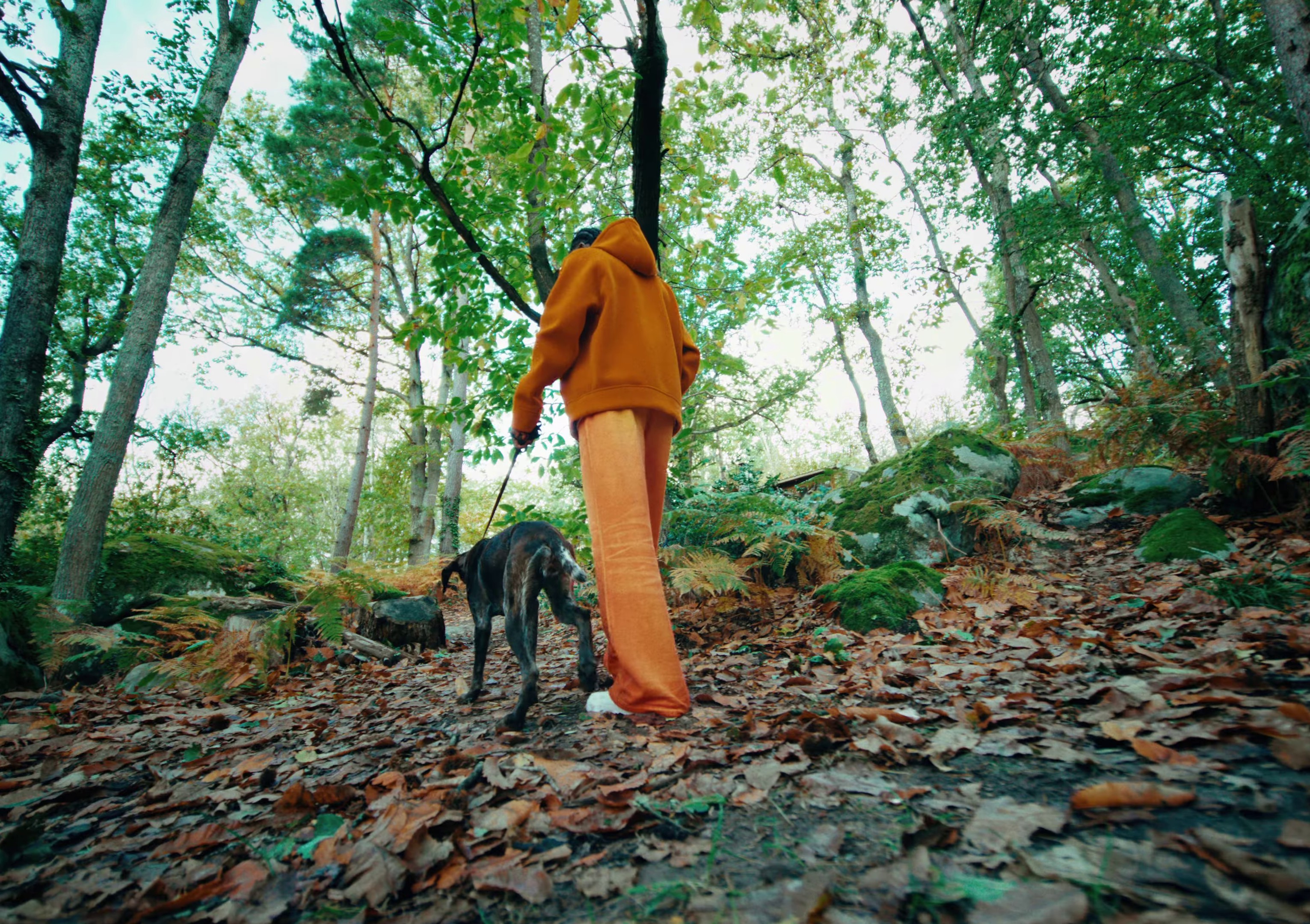 DIS-MOI (2023) —  shot,  lighting