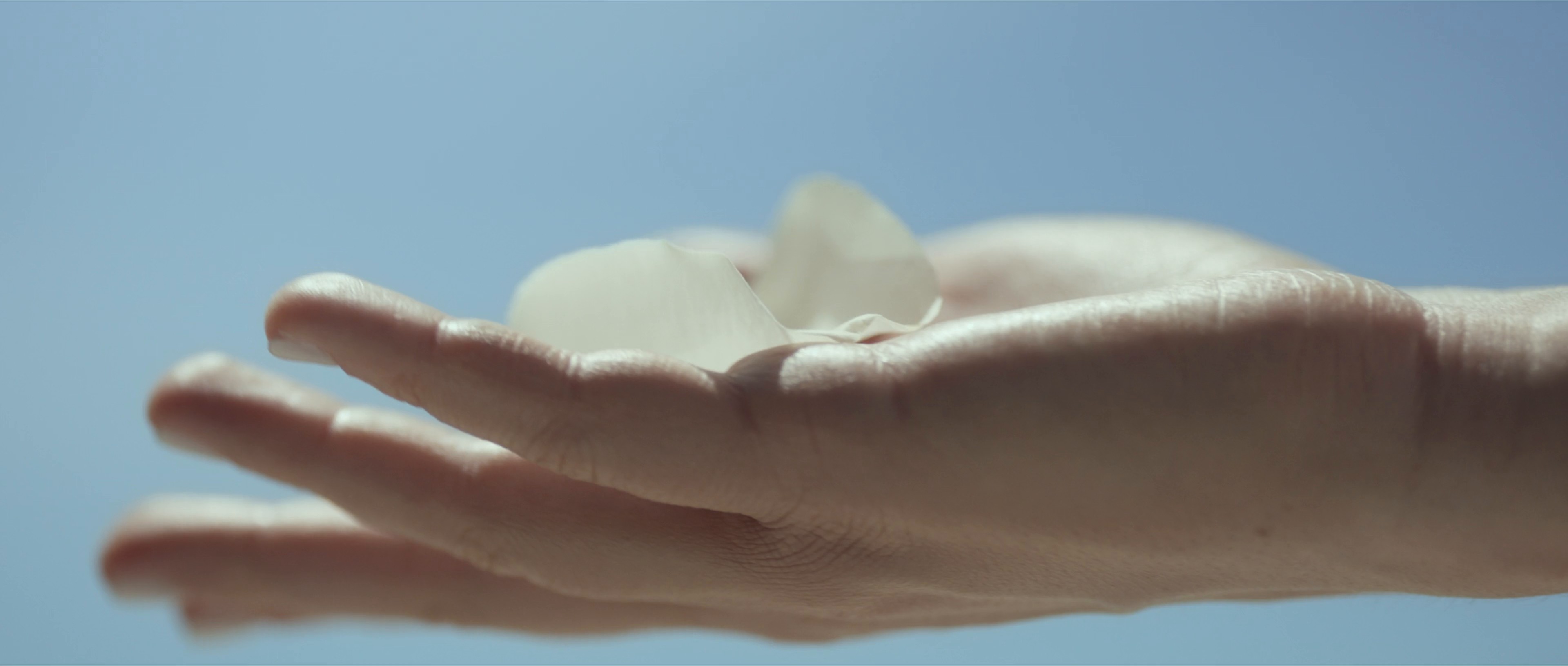 ELIZABETH ARDEN | Find Your Moment (2024) —  shot,  lighting