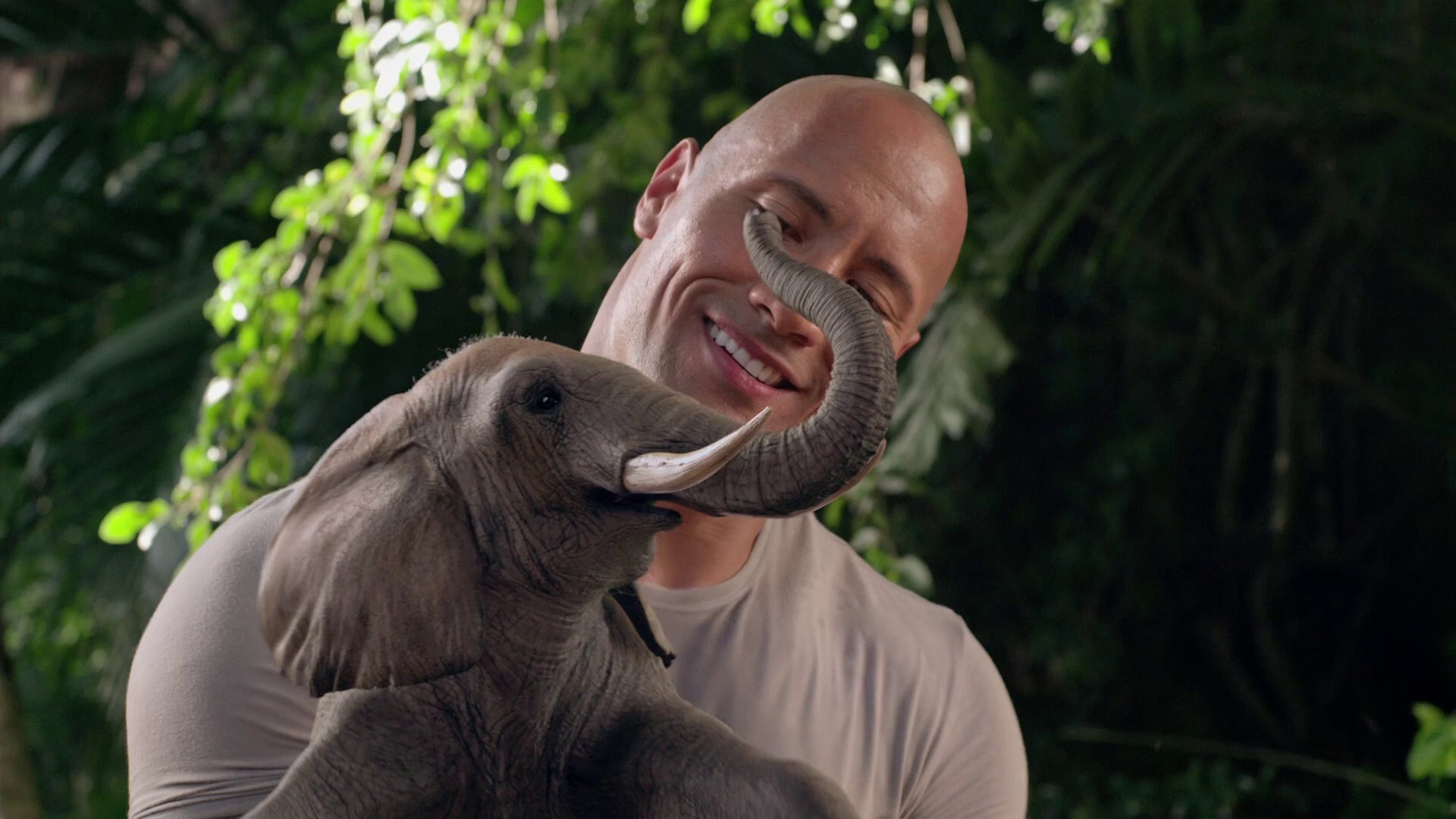 Journey 2: The Mysterious Island (2012) —  shot,  lighting