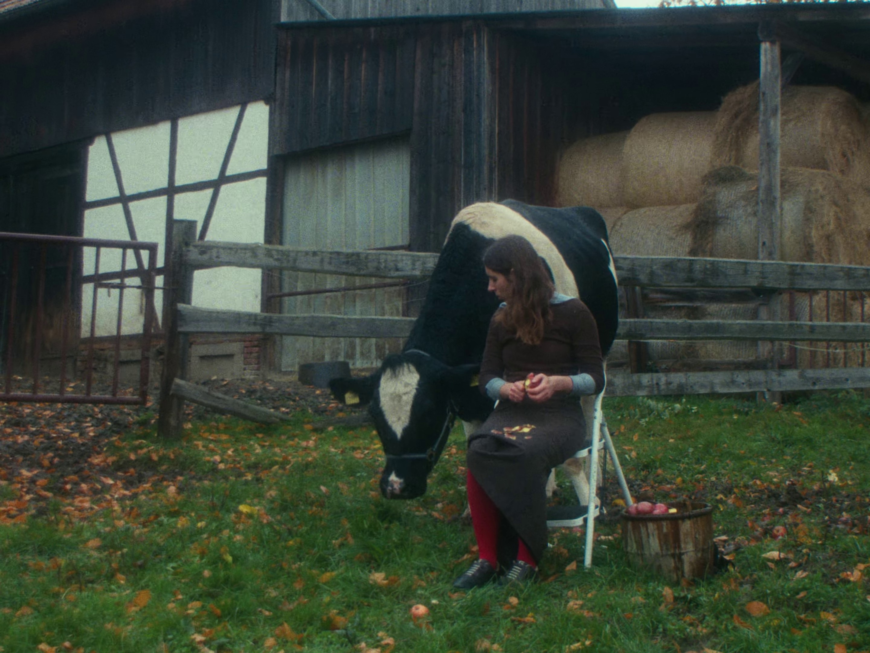 Será Mejor (2024) —  shot,  lighting