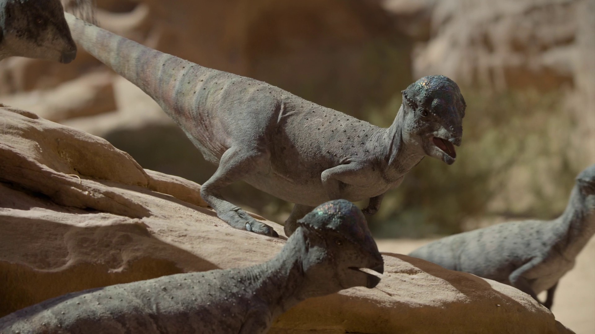 Islands (2023) —  shot,  lighting