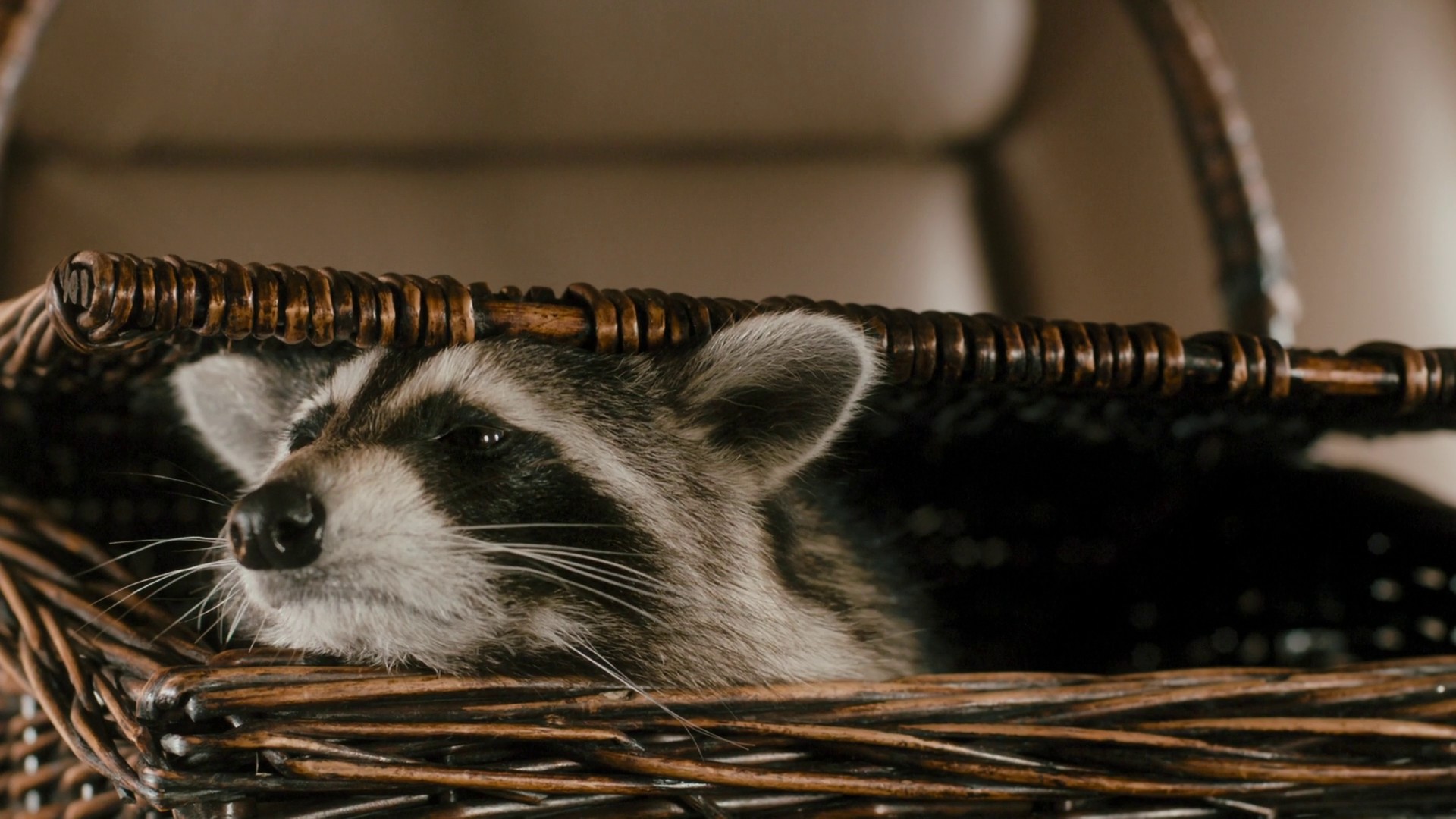 Furry Vengeance (2010) —  shot,  lighting