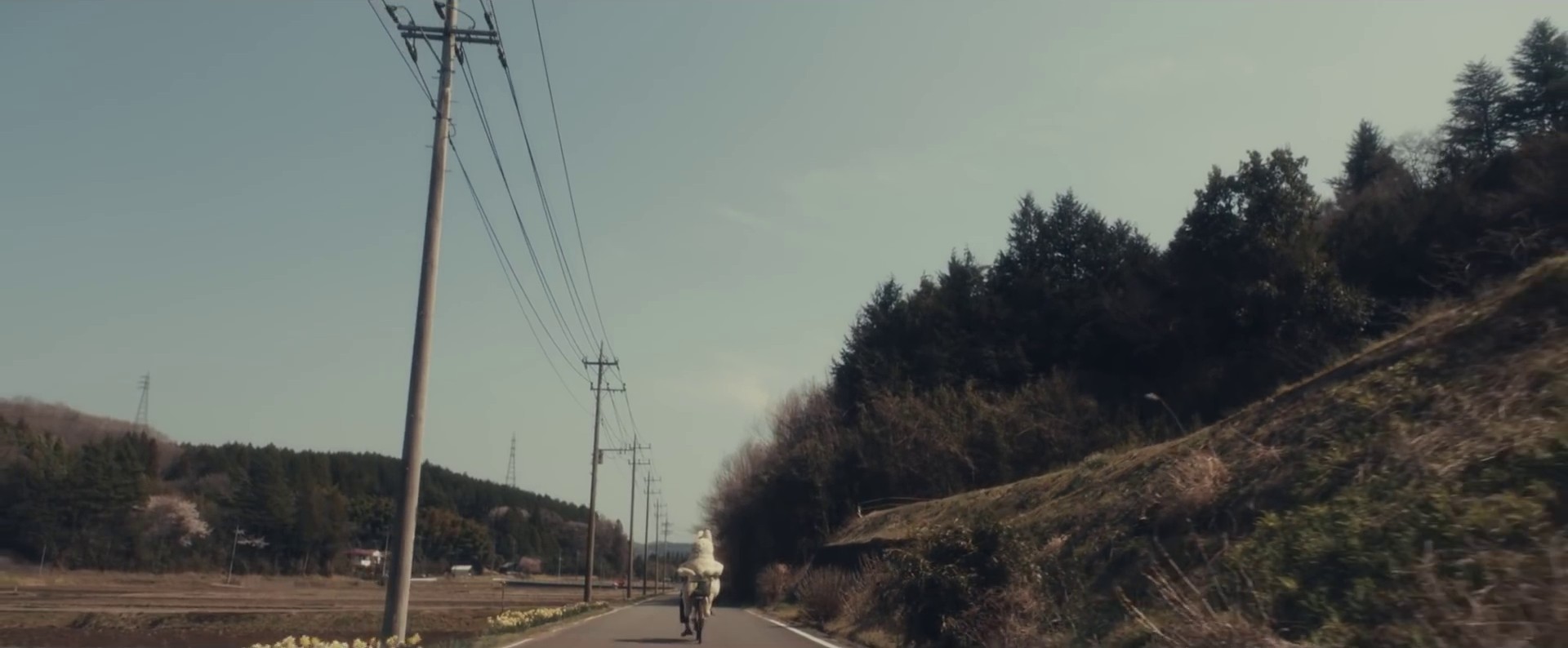 So We Won't Forget  (2020) —  shot,  lighting