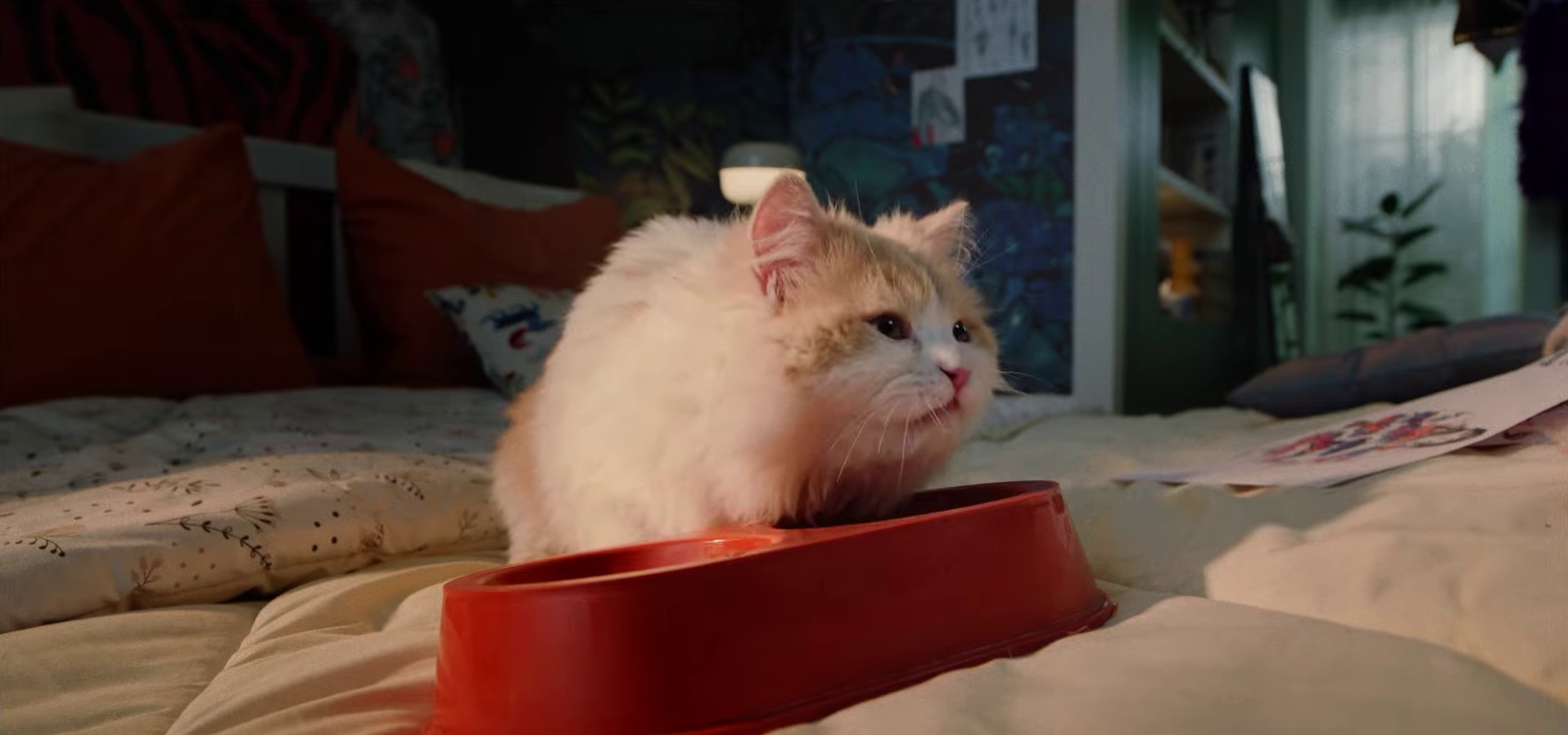 DHL: Make a Good Thing Even Better (2024) —  shot,  lighting