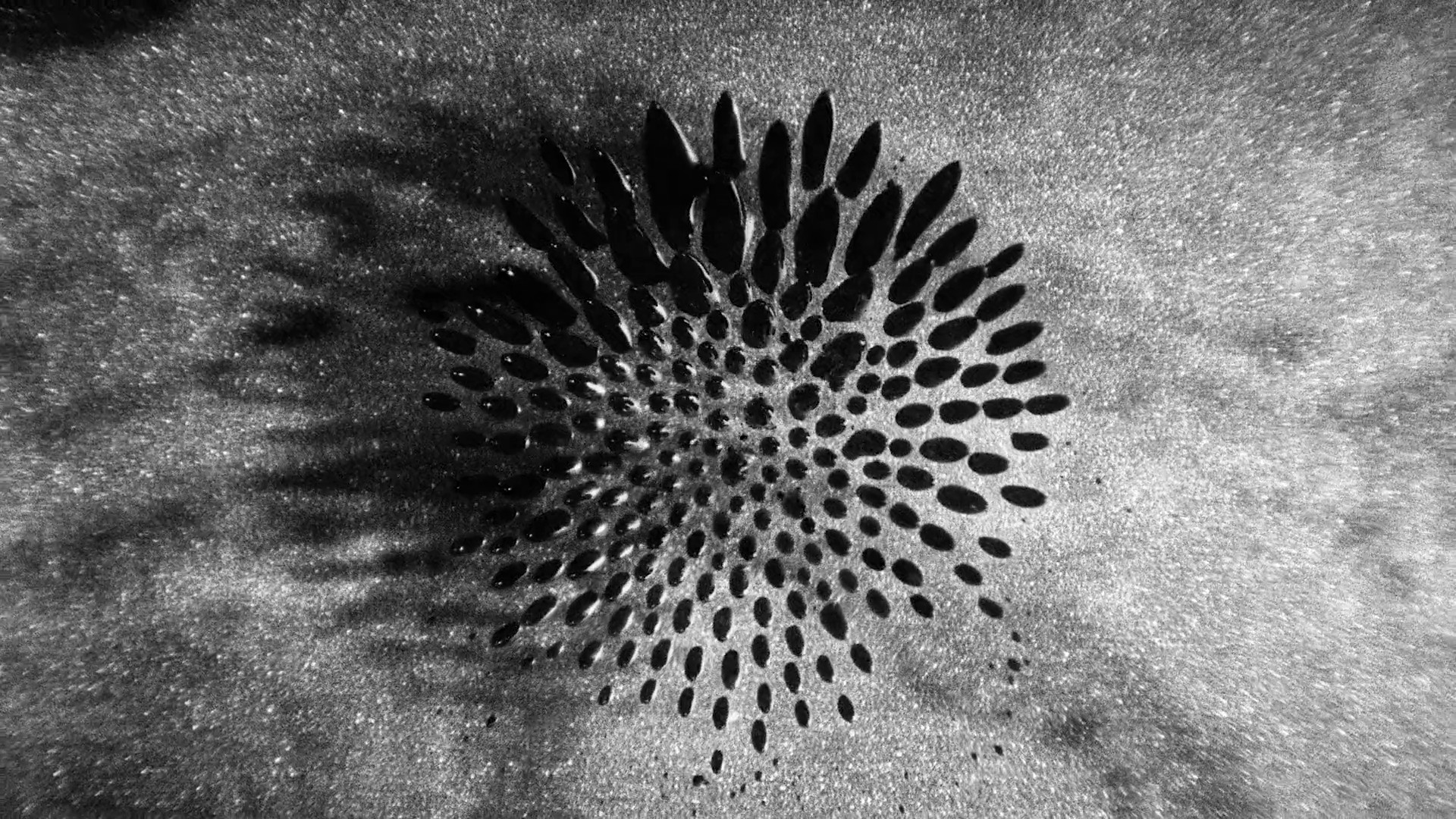 NIKE X FUTURA by Christopher Anderson (2024) —  shot,  lighting