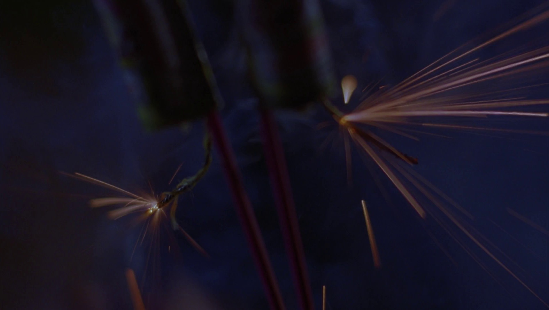 Mysterious Skin (2004) —  shot,  lighting