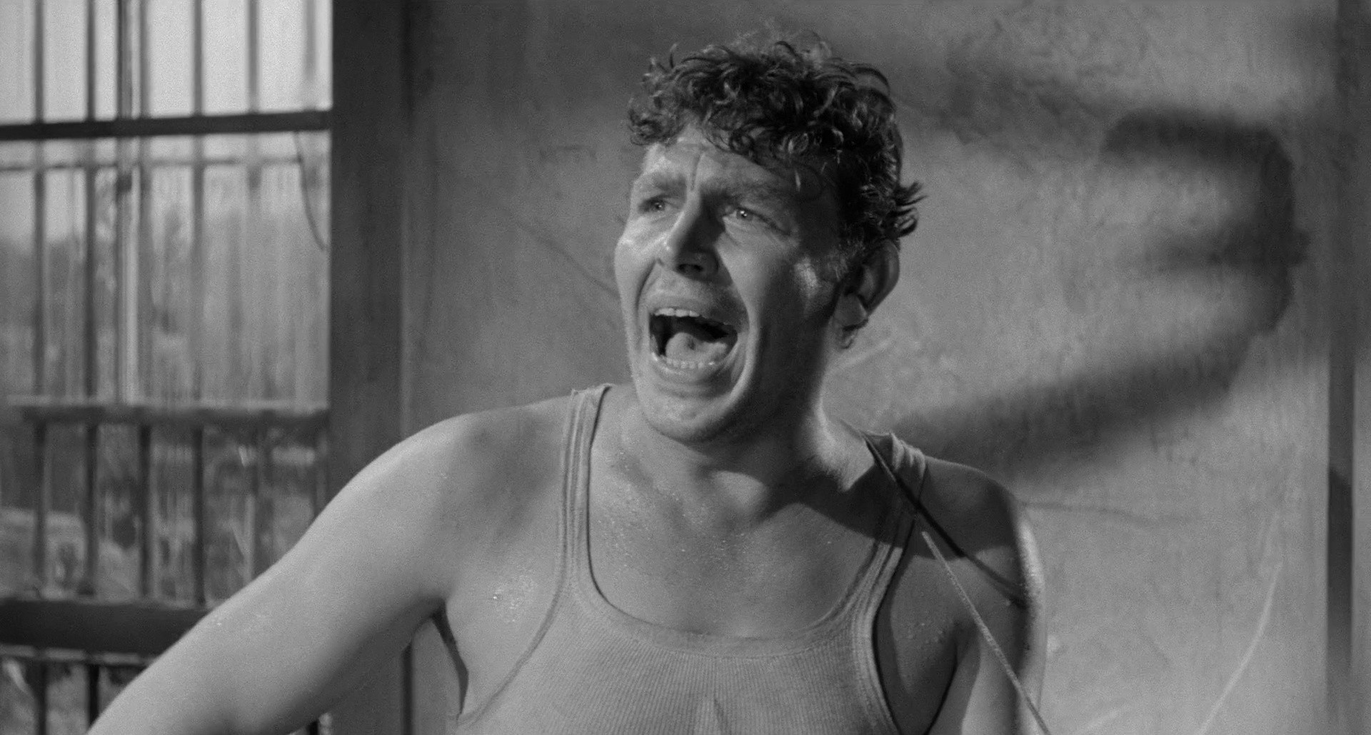 A Face in the Crowd (1957) —  shot,  lighting