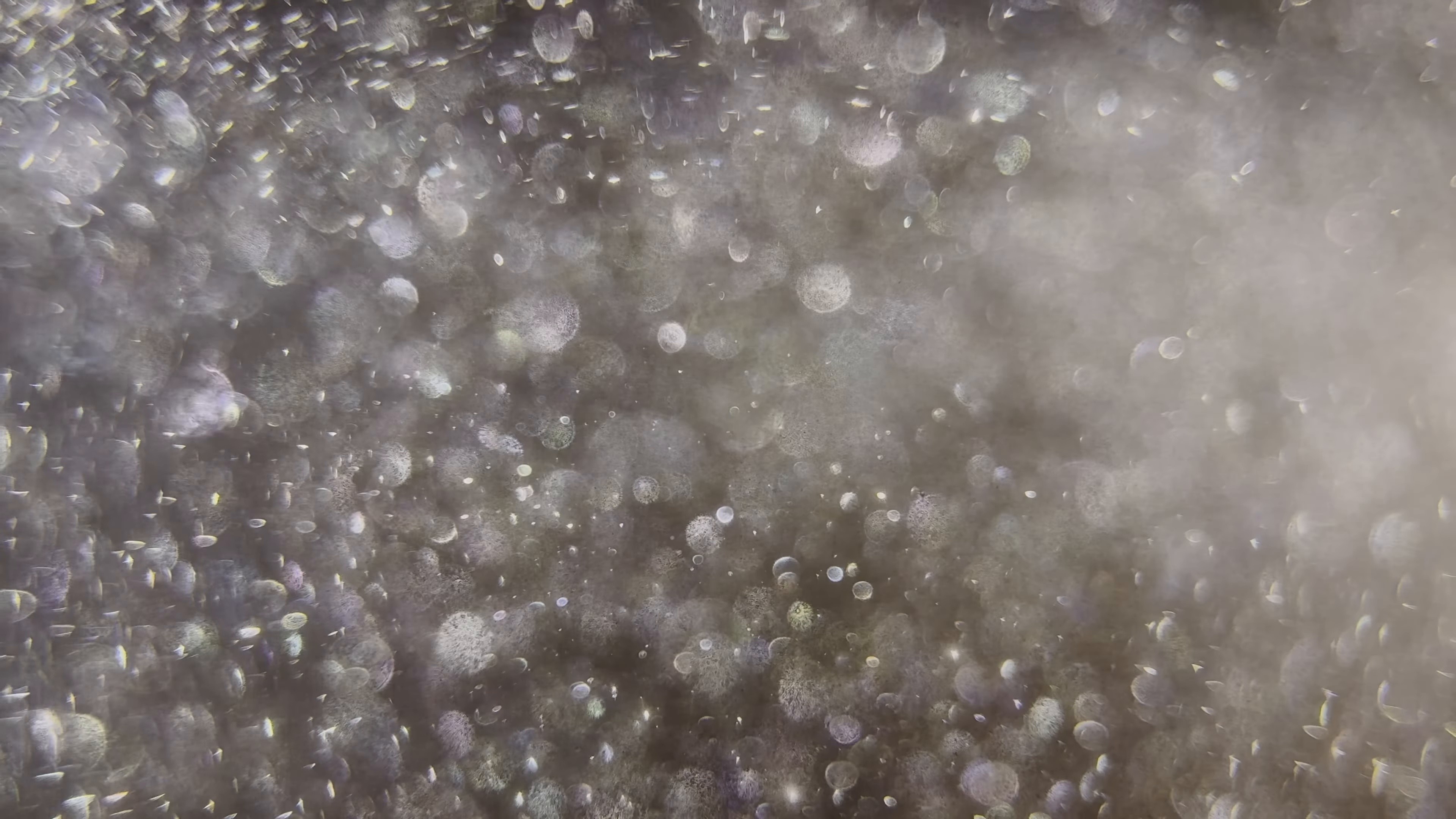 As Tendrils of Smoke (2024) —  shot,  lighting