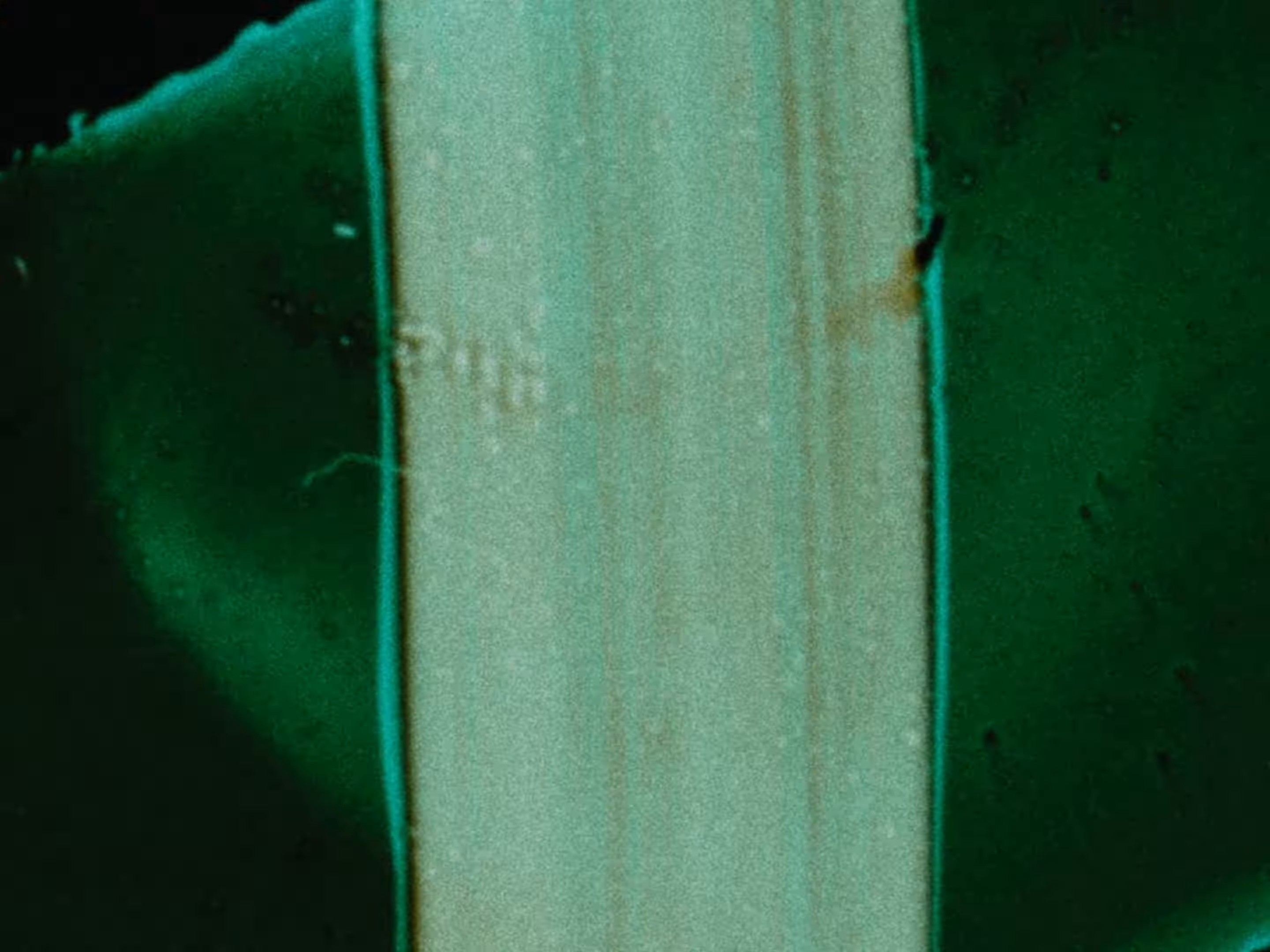 TRANSFORMANDO (2024) —  shot,  lighting