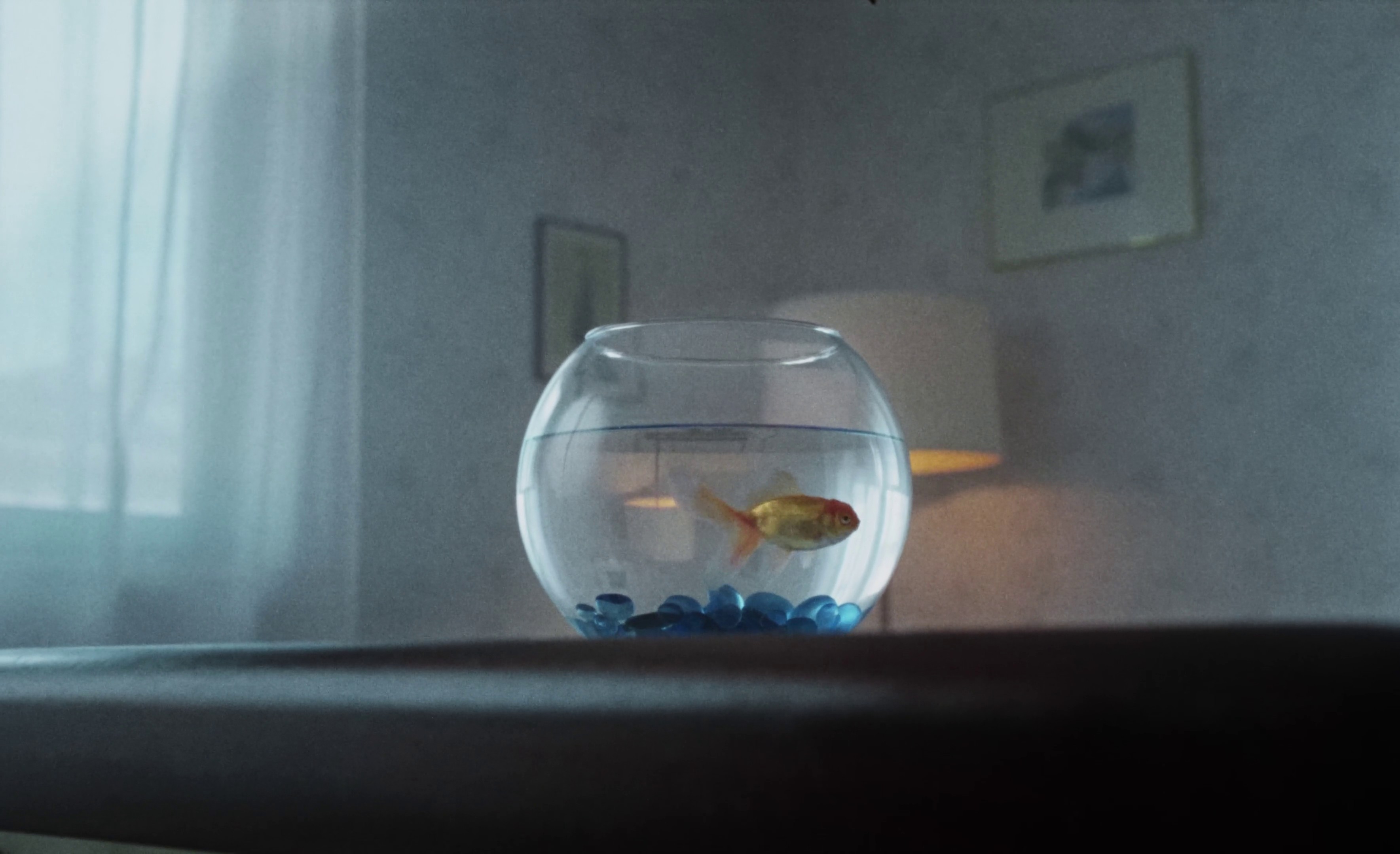 Alles (und Nichts) (2024) —  shot,  lighting