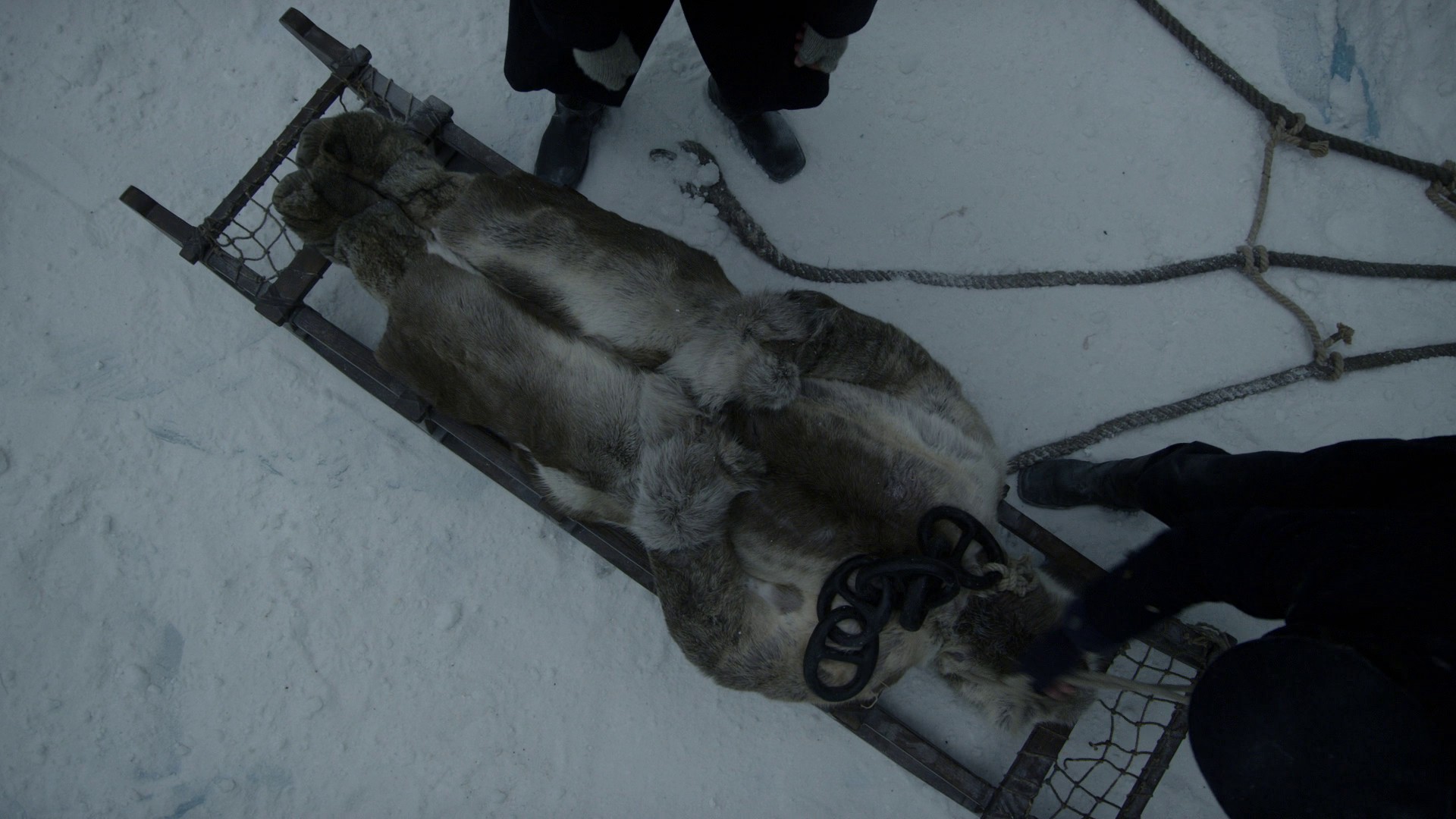 The Ladder (2018) —  shot,  lighting