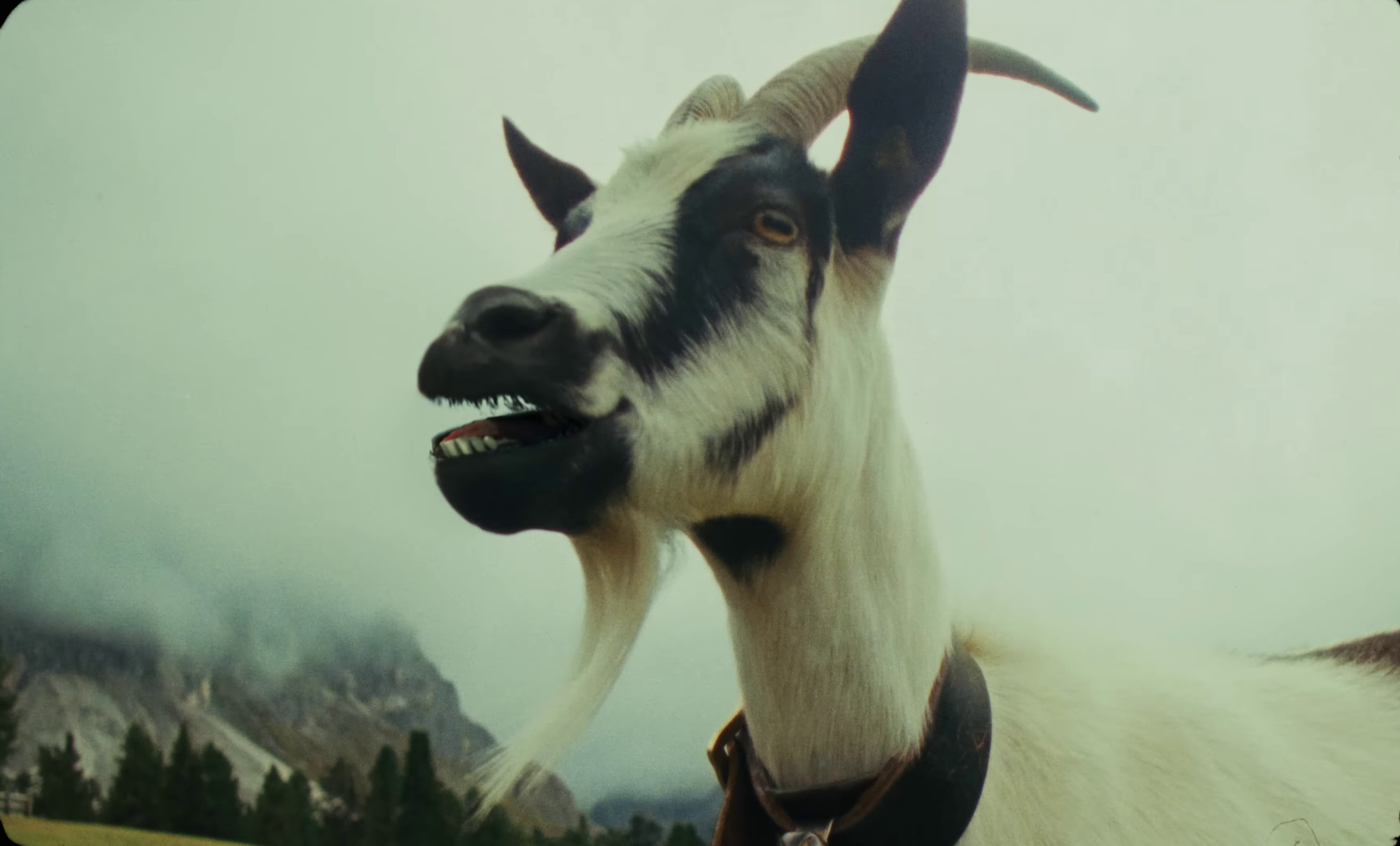 Number One Candidate (2023) —  shot,  lighting