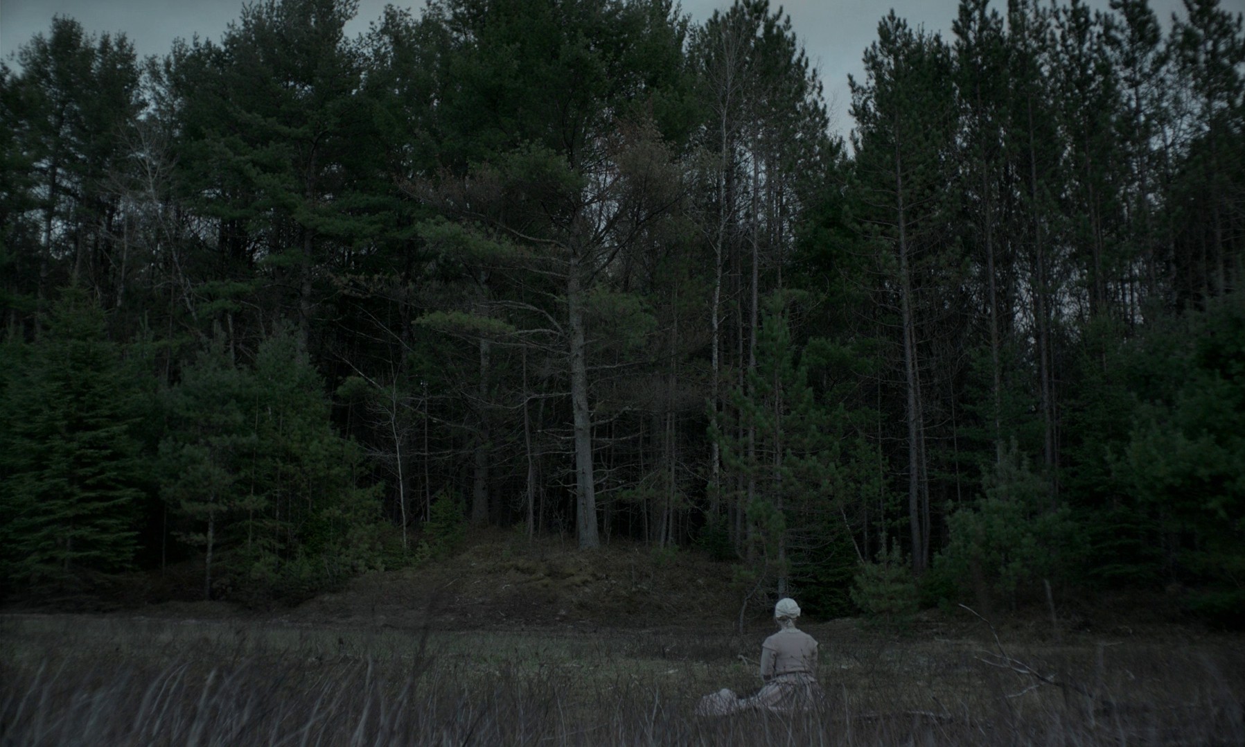 The Witch (2015) —  shot,  lighting