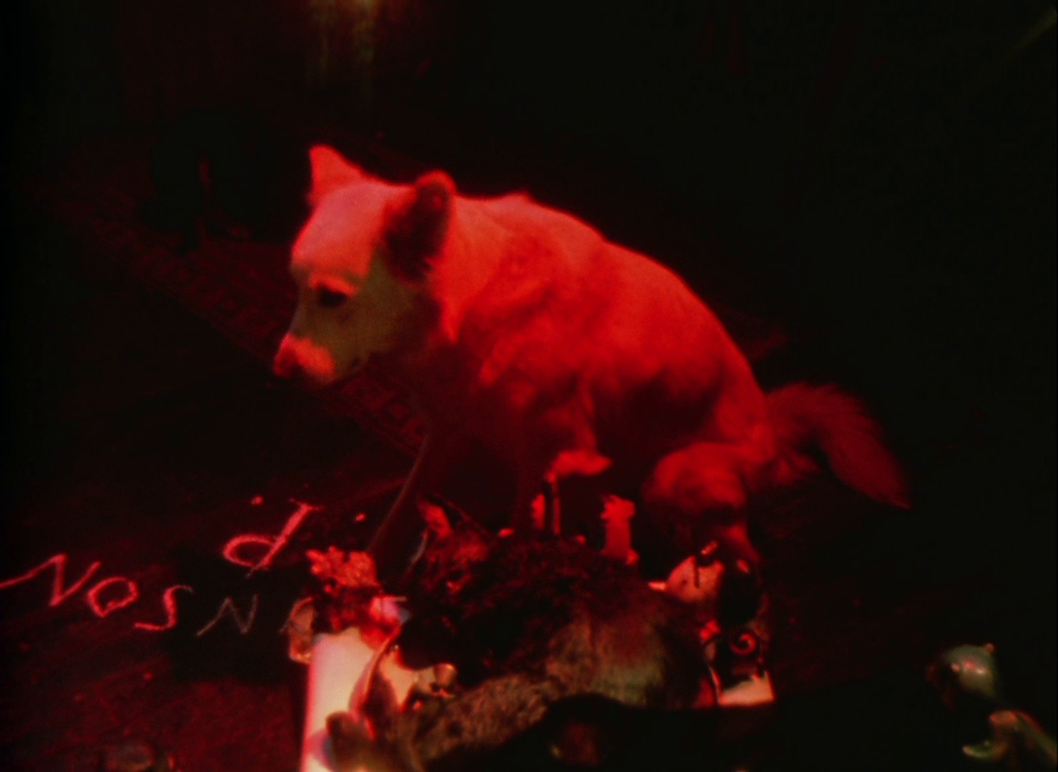 Invocation of My Demon Brother (1969) —  shot,  lighting