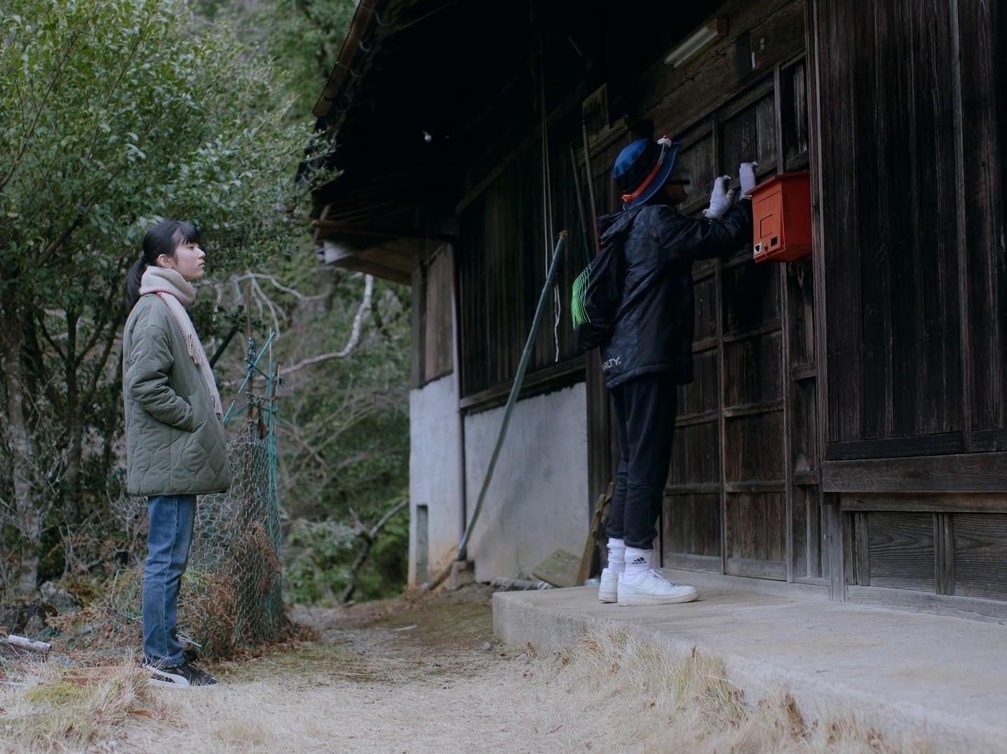 Beyond the Fog (2023) —  shot,  lighting