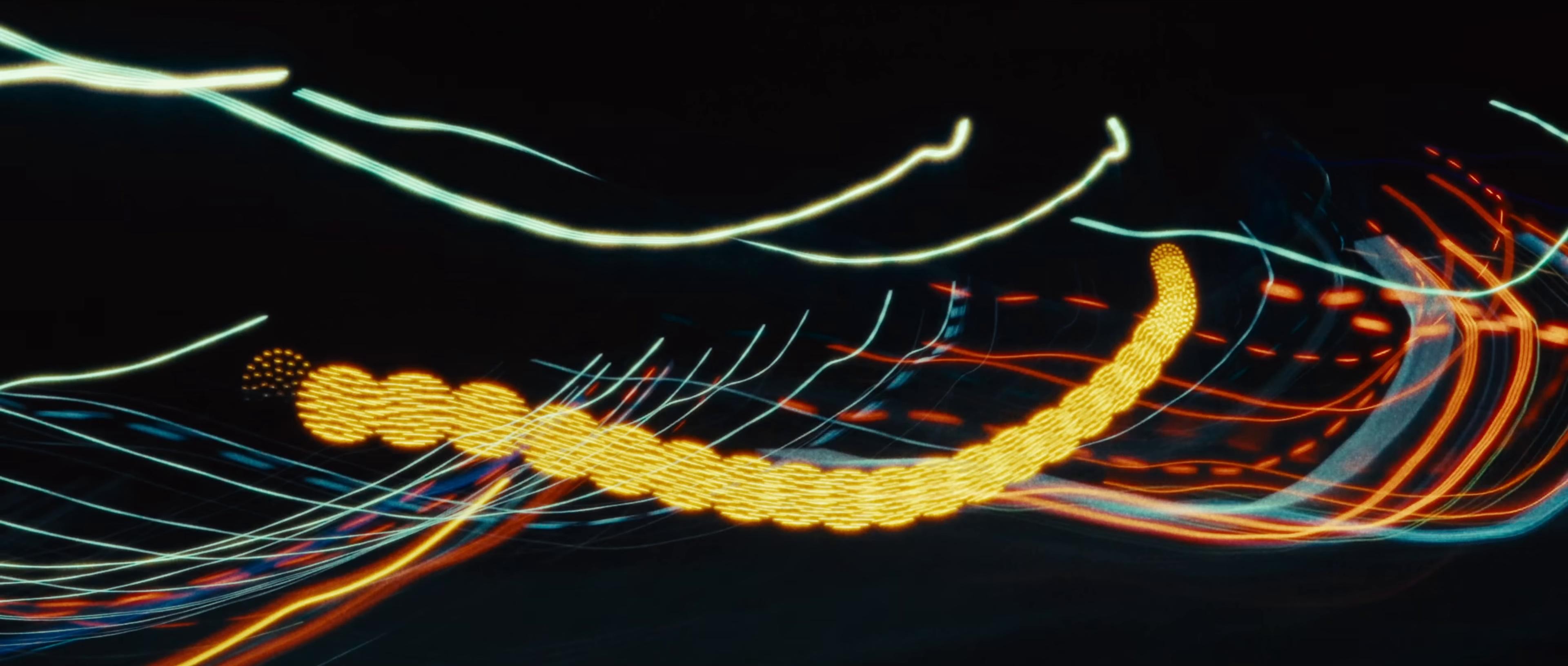 Dried Flower (2024) —  shot,  lighting