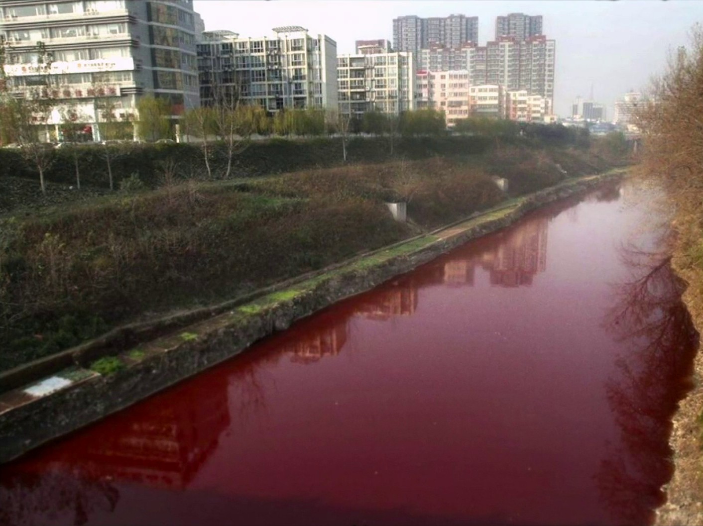 Mercuriales (2014) —  shot,  lighting