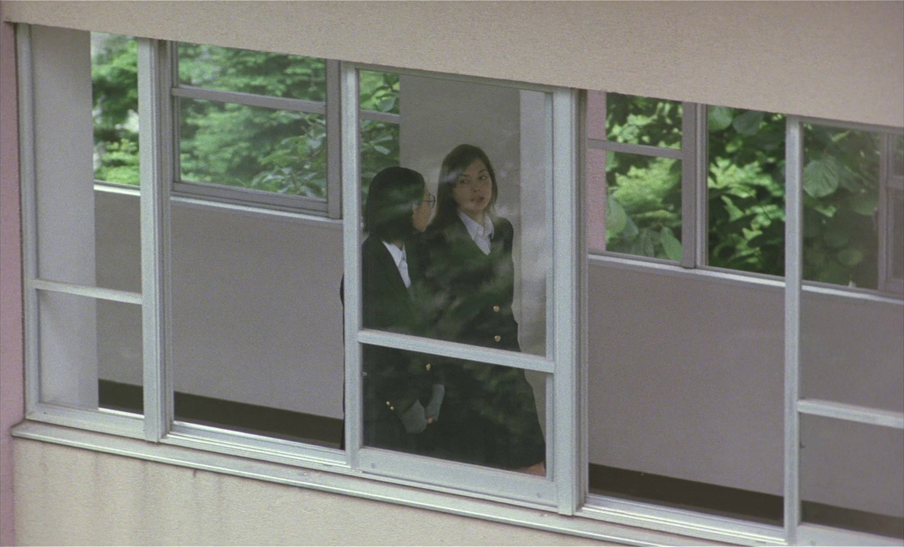 The Taste of Tea (2004) —  shot,  lighting