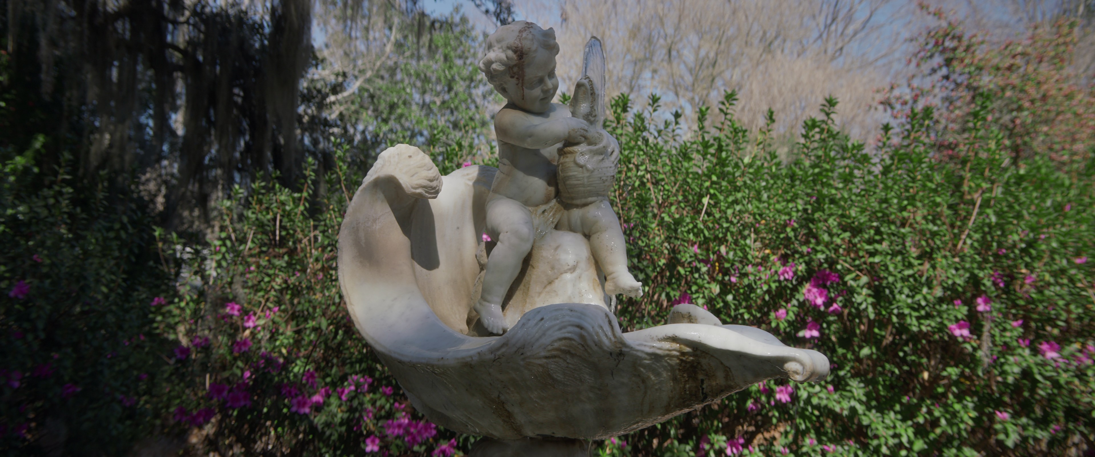 Master Gardener (2023) —  shot,  lighting