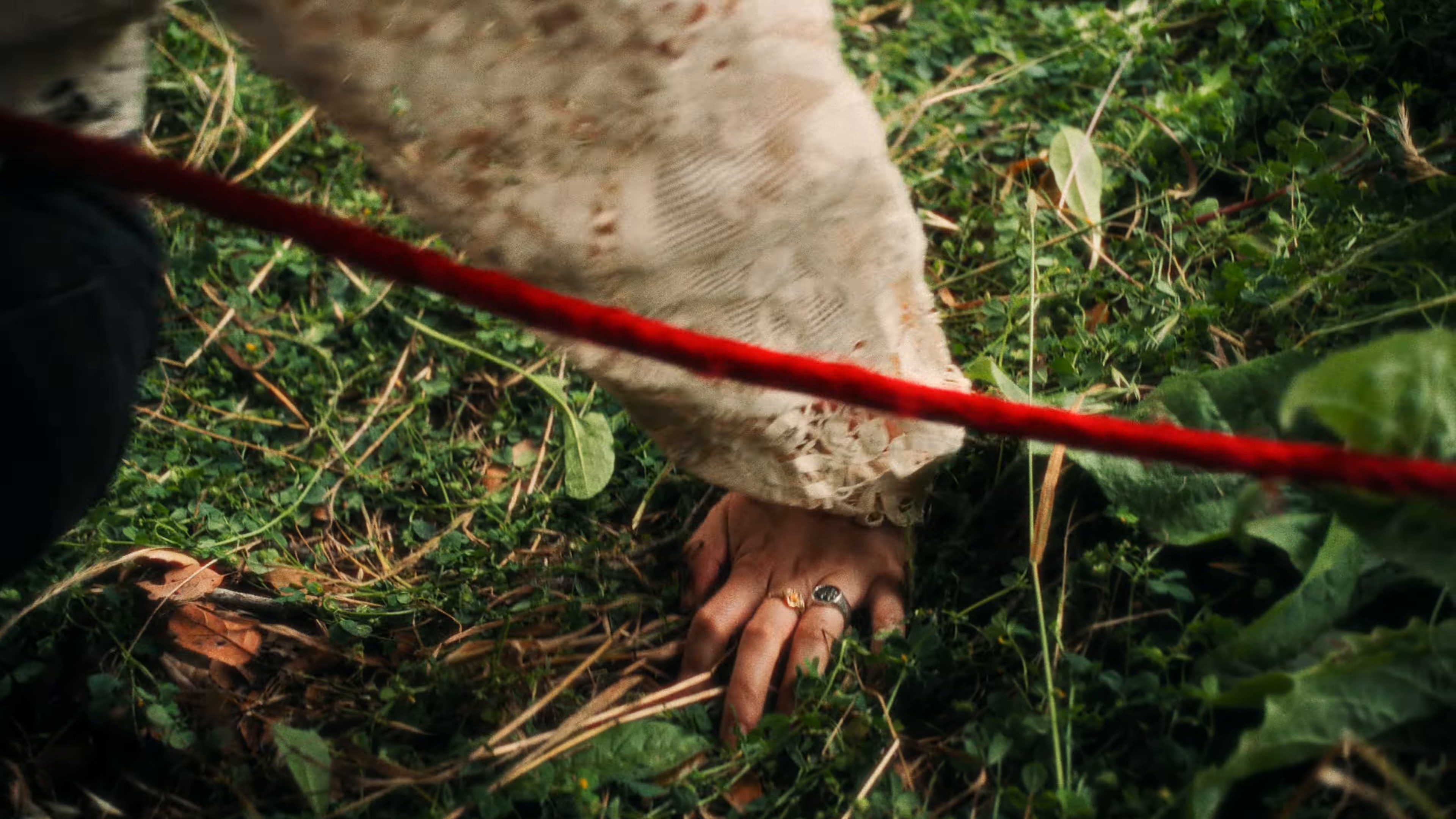 Last Time We Never Meet Again (2024) —  shot,  lighting