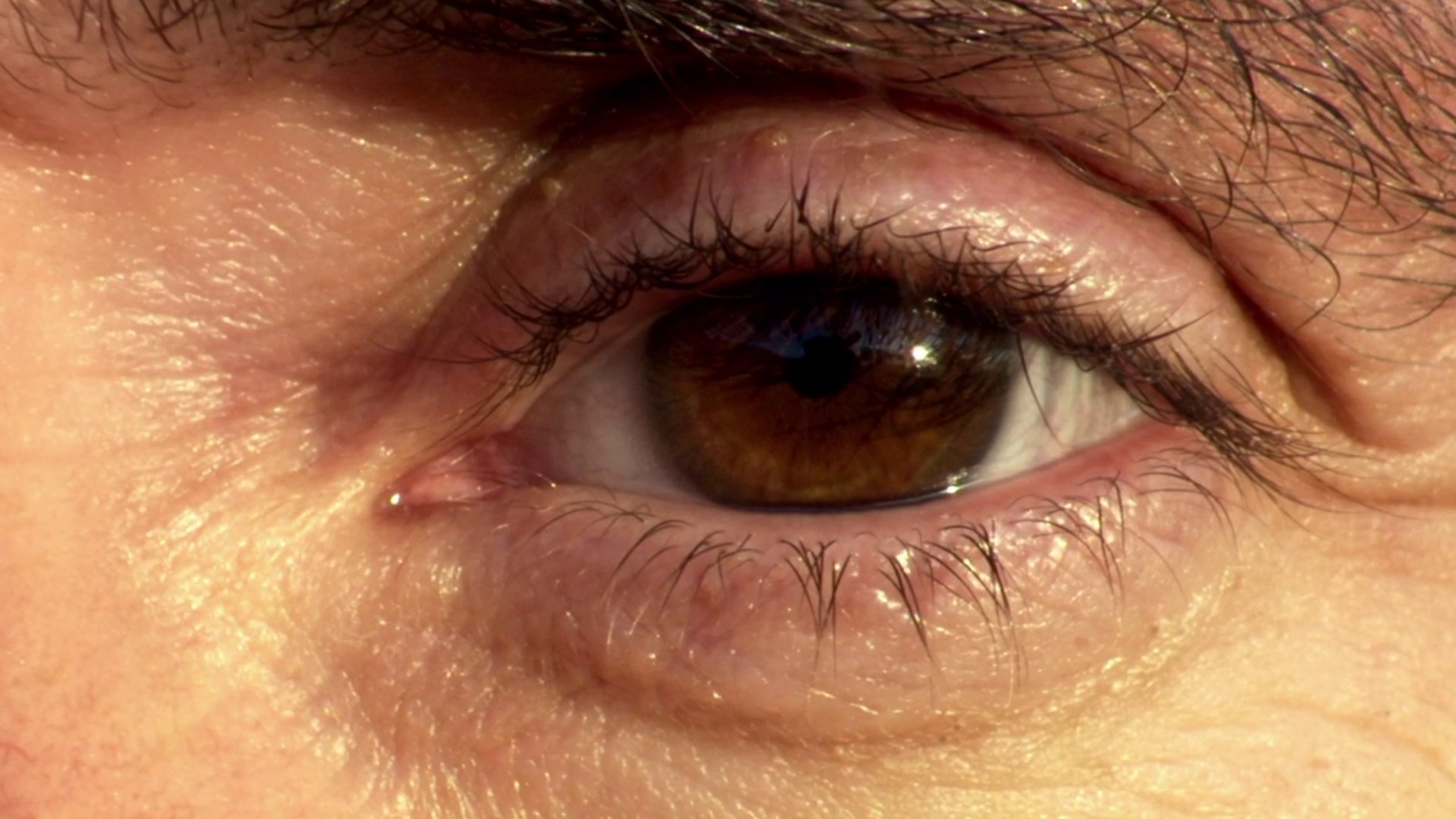 Speed Limits (2010) —  shot,  lighting