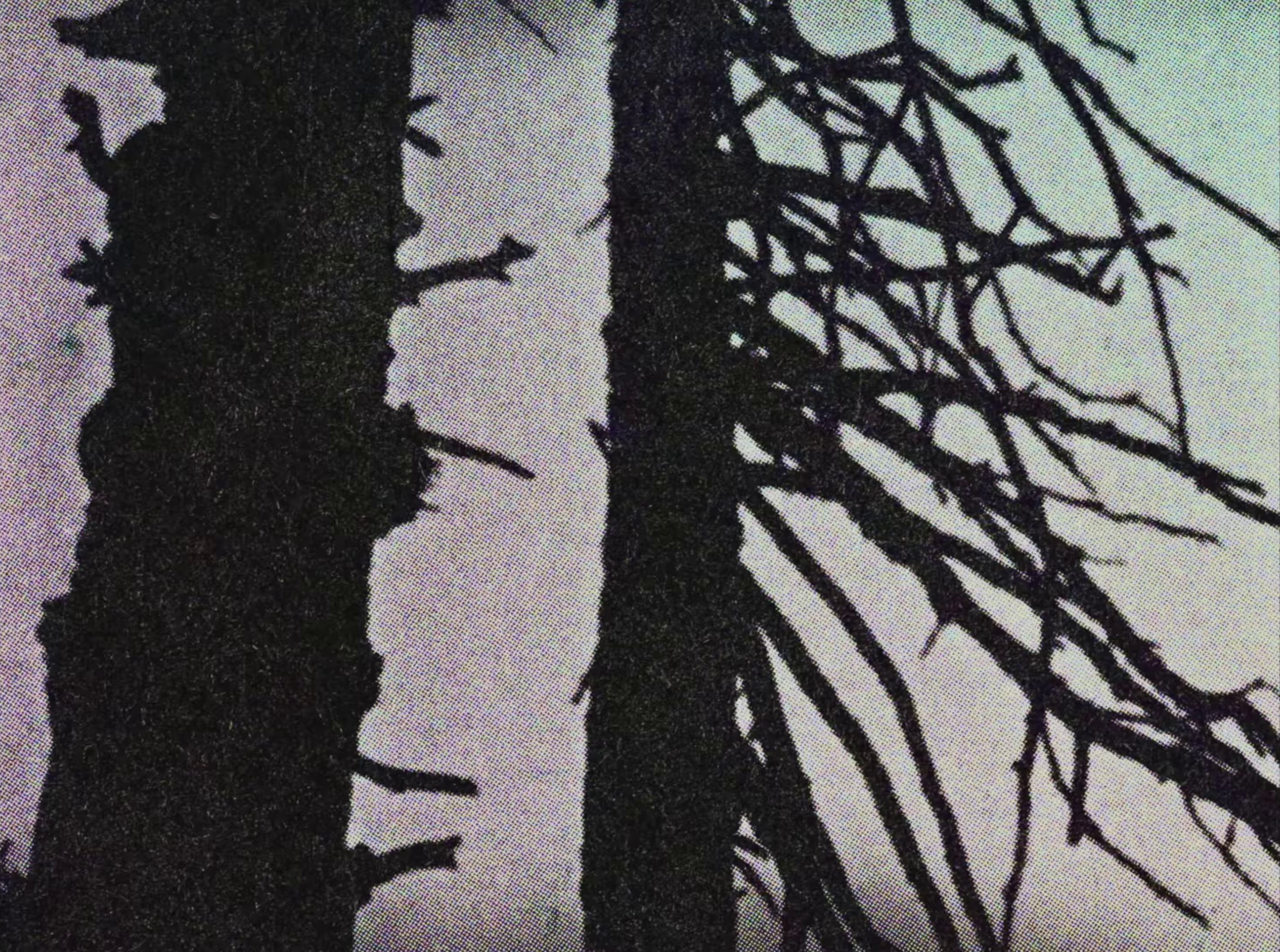 boys, bugs and men (2024) —  shot,  lighting