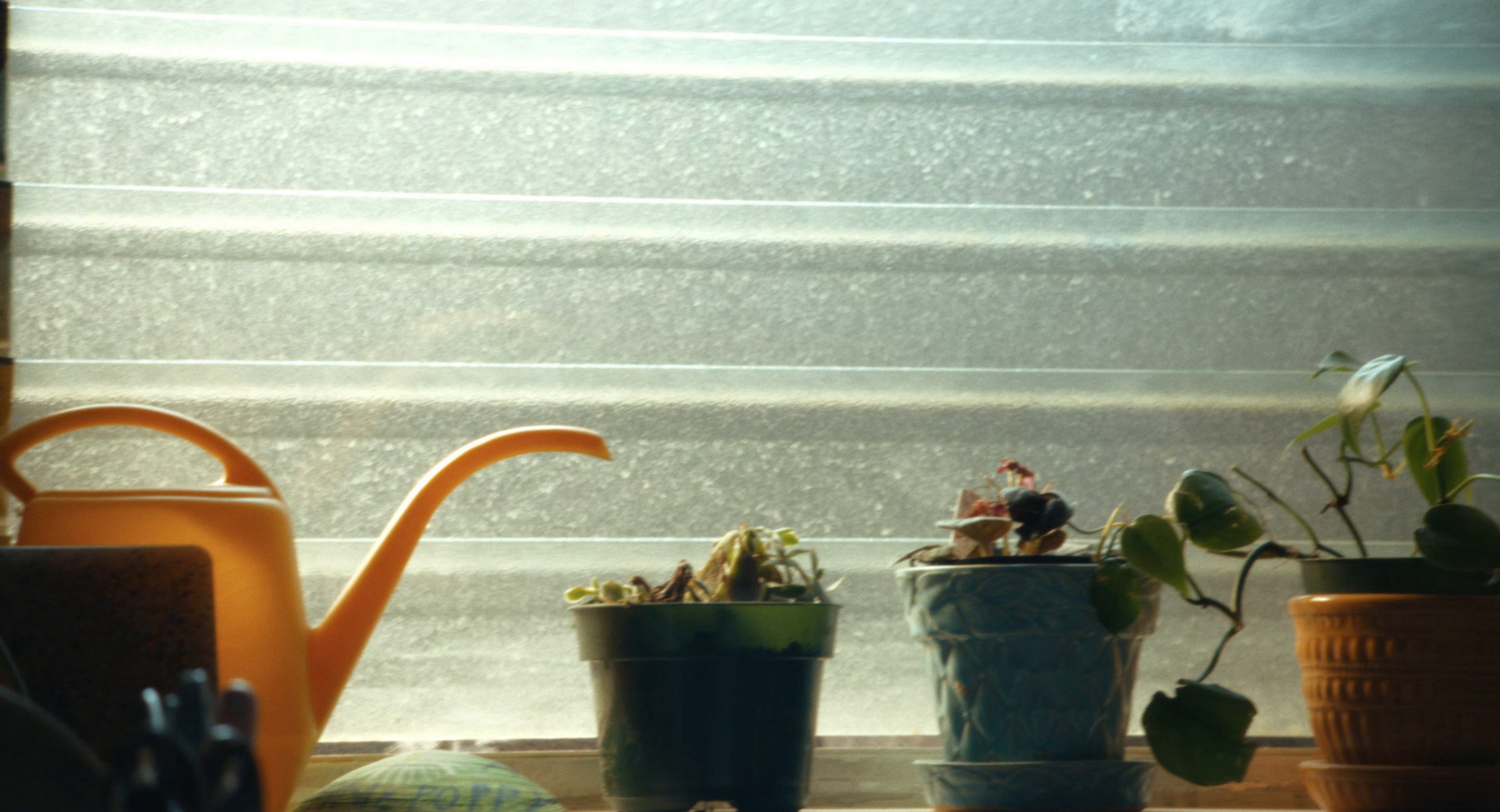 Eleanor the Great (2025) —  shot,  lighting