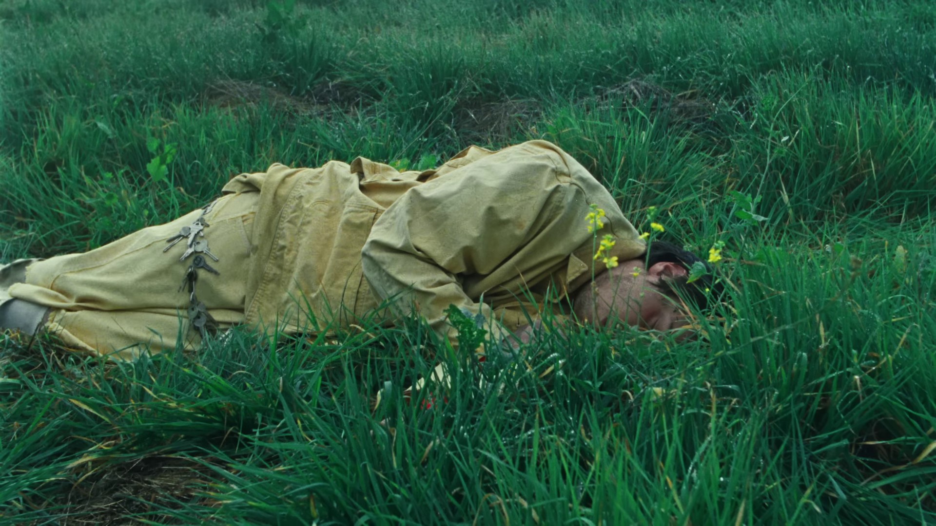 Aphid (2024) —  shot,  lighting