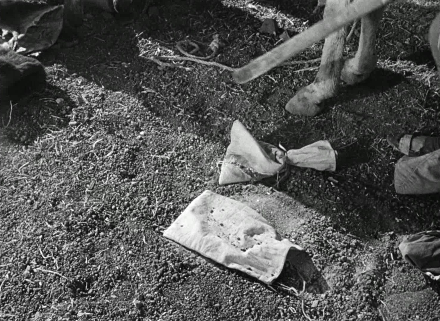 The Treasure of the Sierra Madre (1948) —  shot,  lighting