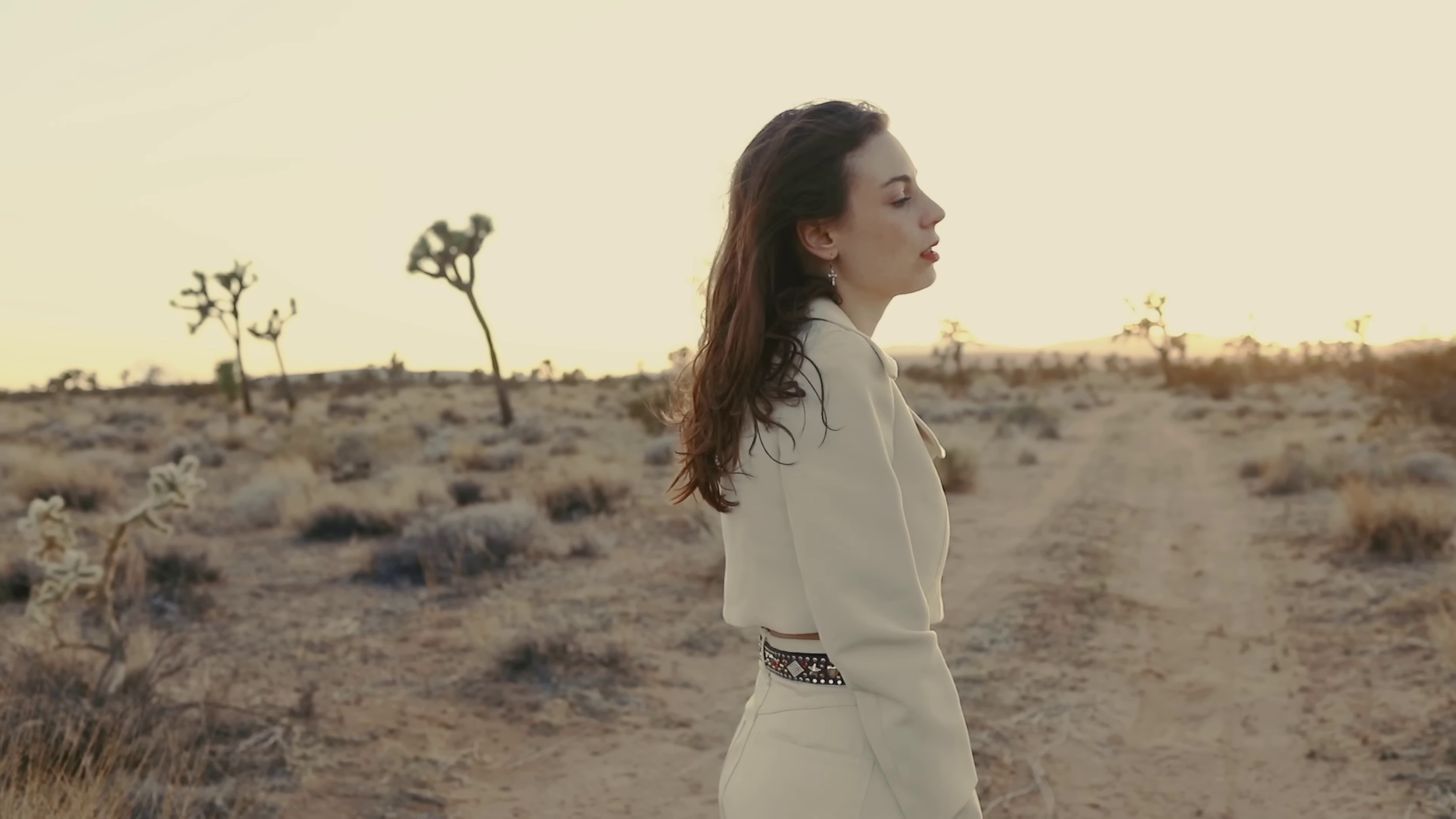 Sunset (2022) —  shot,  lighting