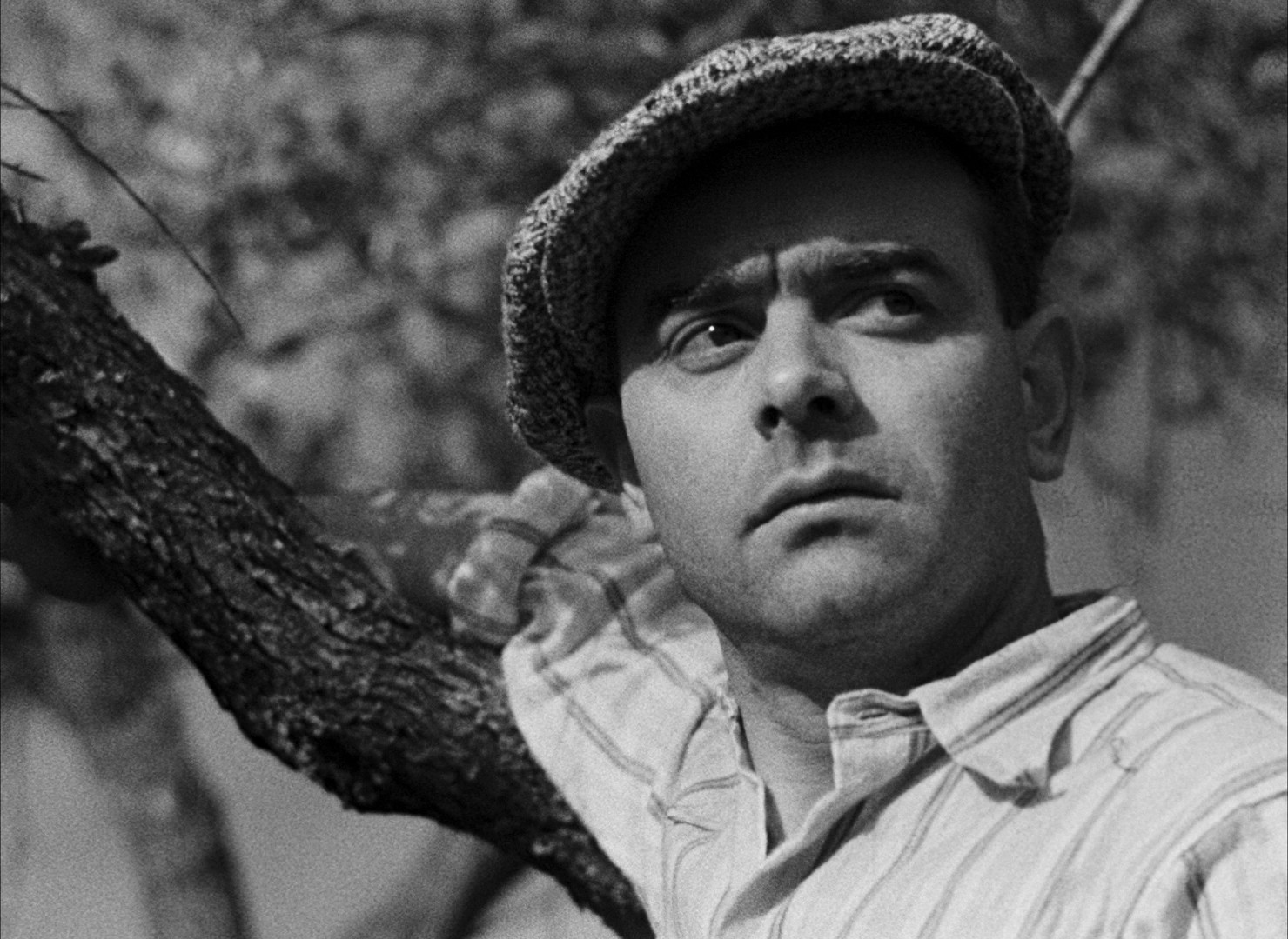 Toni (1935) —  shot,  lighting