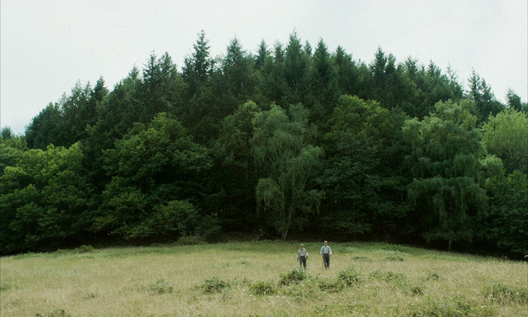 Bruno Reidal, Confessions of a Murderer (2022) —  shot,  lighting