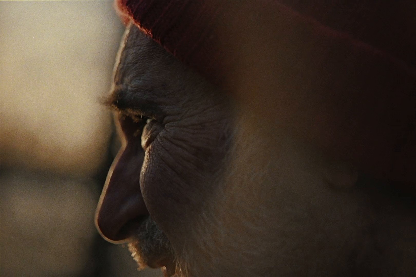 Canadian Cancer Society - Breathe Hope (2024) —  shot,  lighting