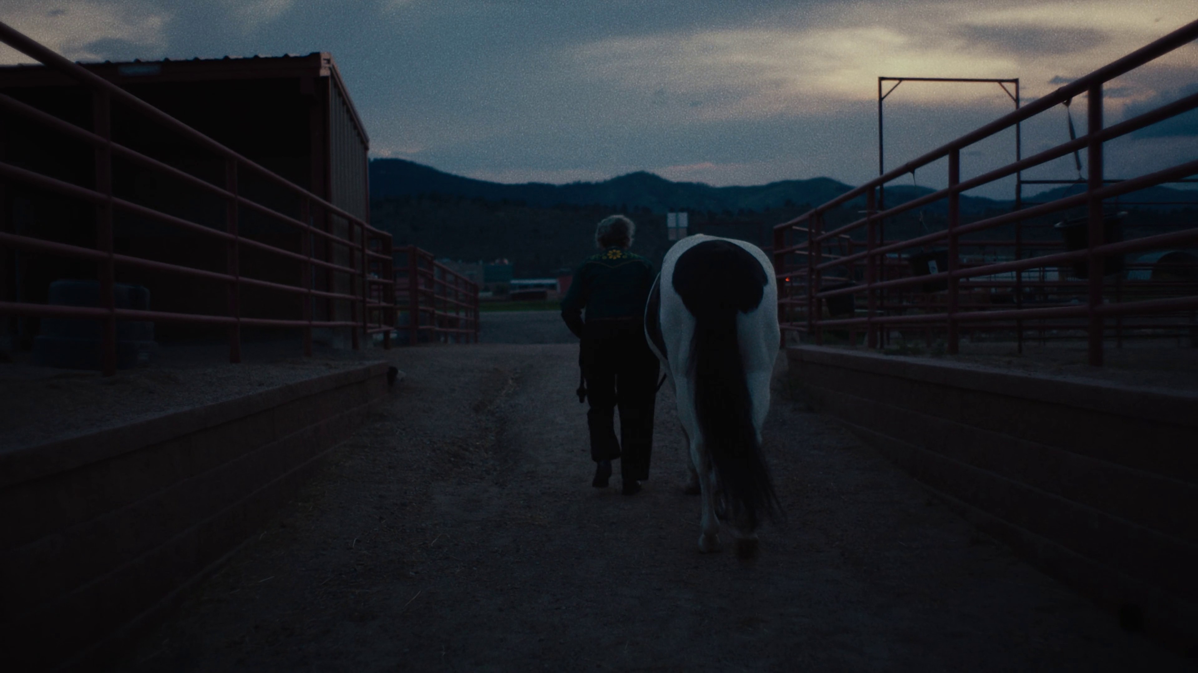 Colorado State University | Find Your Energy - Director's Cut (2024) —  shot,  lighting