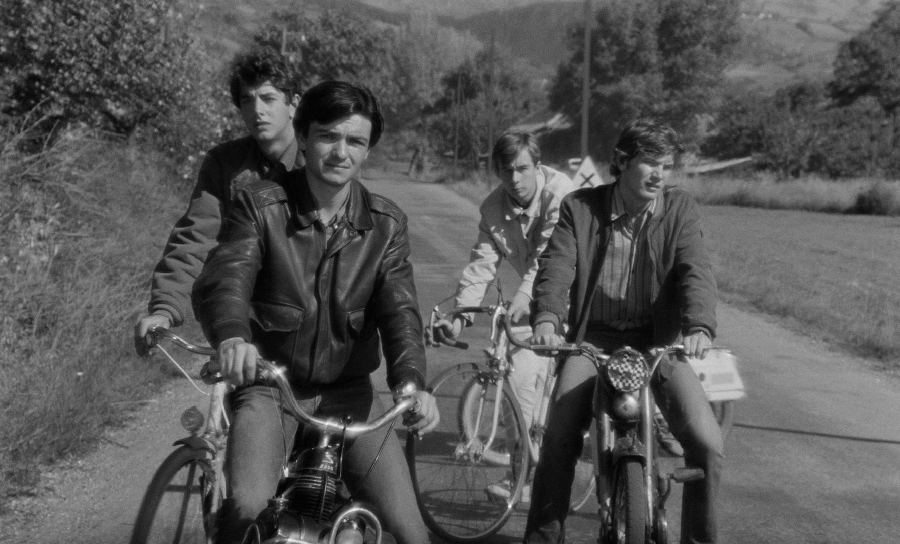 Au hasard Balthazar (1966) —  shot,  lighting