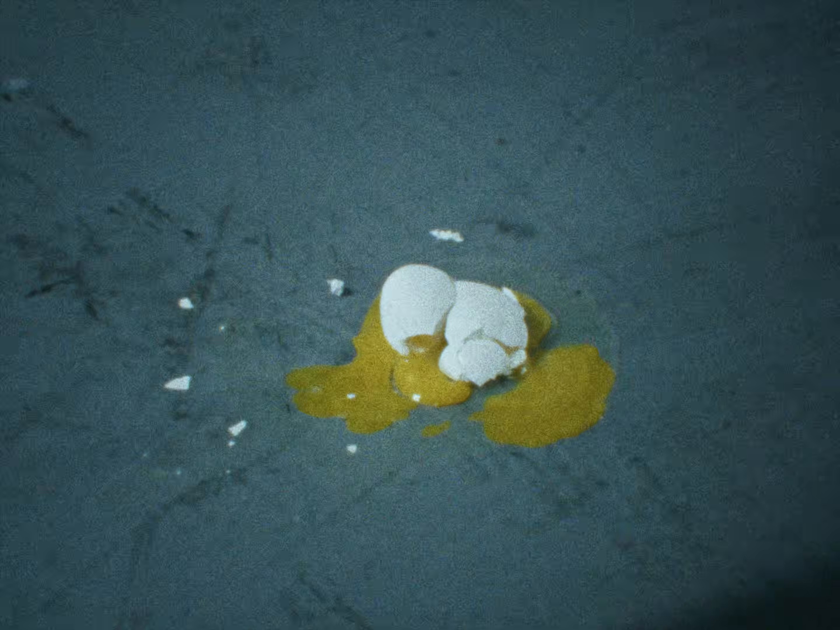 DON'T BREAK (2026) —  shot,  lighting