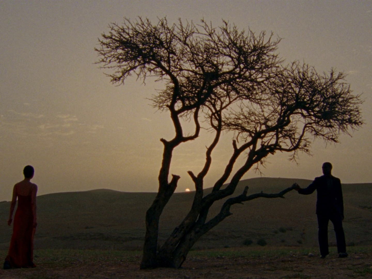 Myrrh & Tonka - Jo Malone (2023) —  shot,  lighting