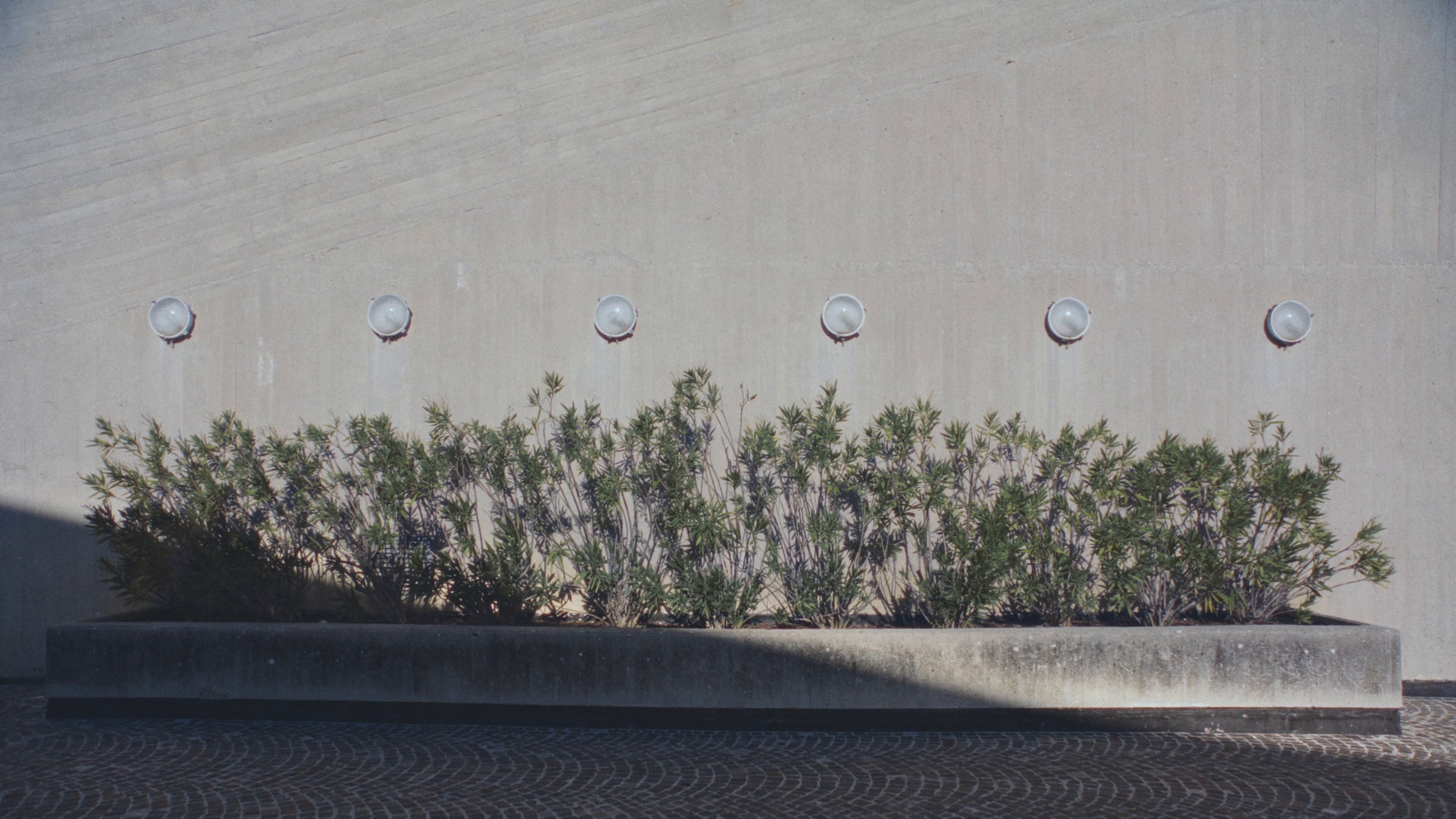 MANGO SS25 (Director's Cut) (2025) —  shot,  lighting