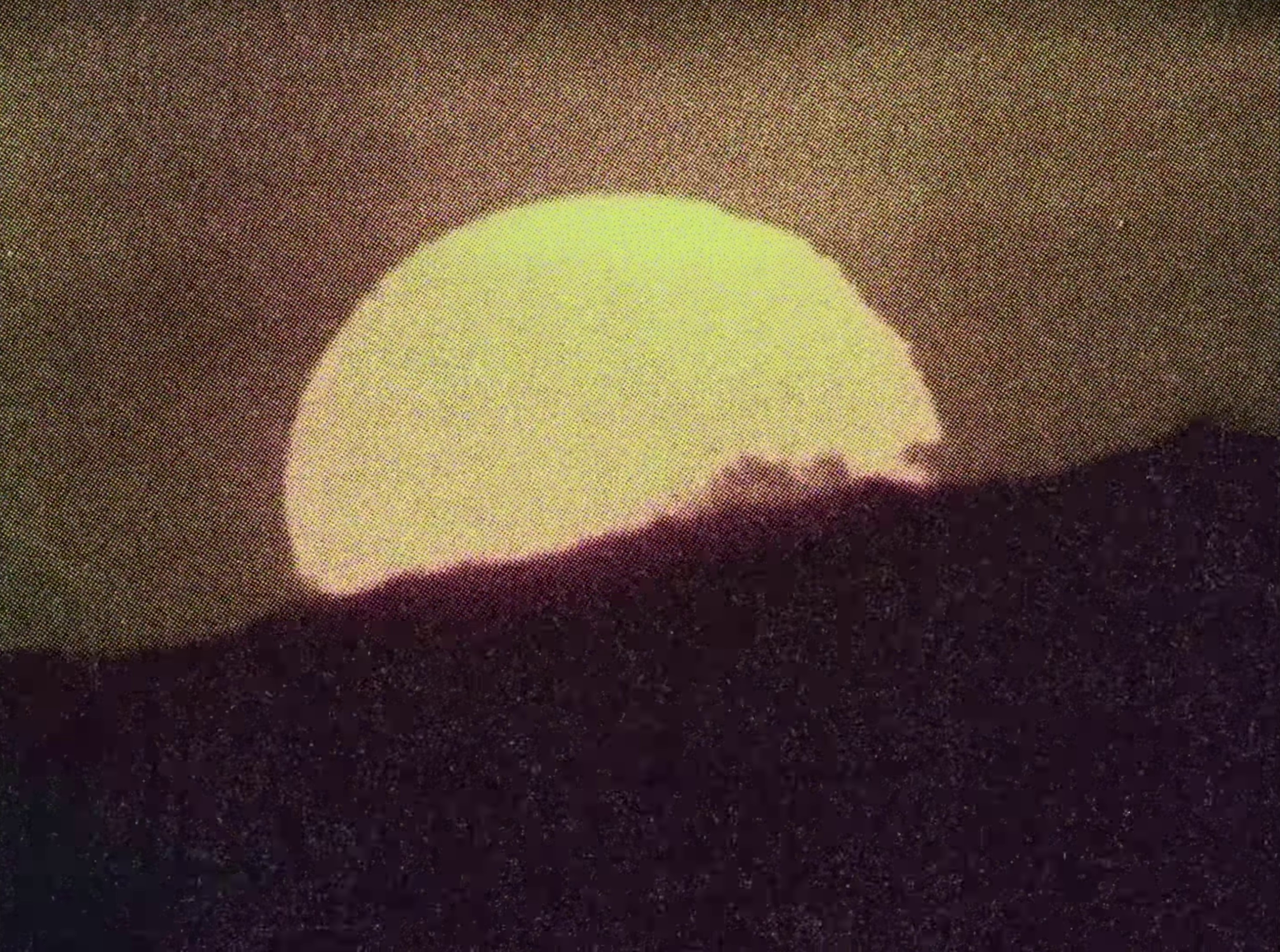 boys, bugs and men (2024) —  shot,  lighting