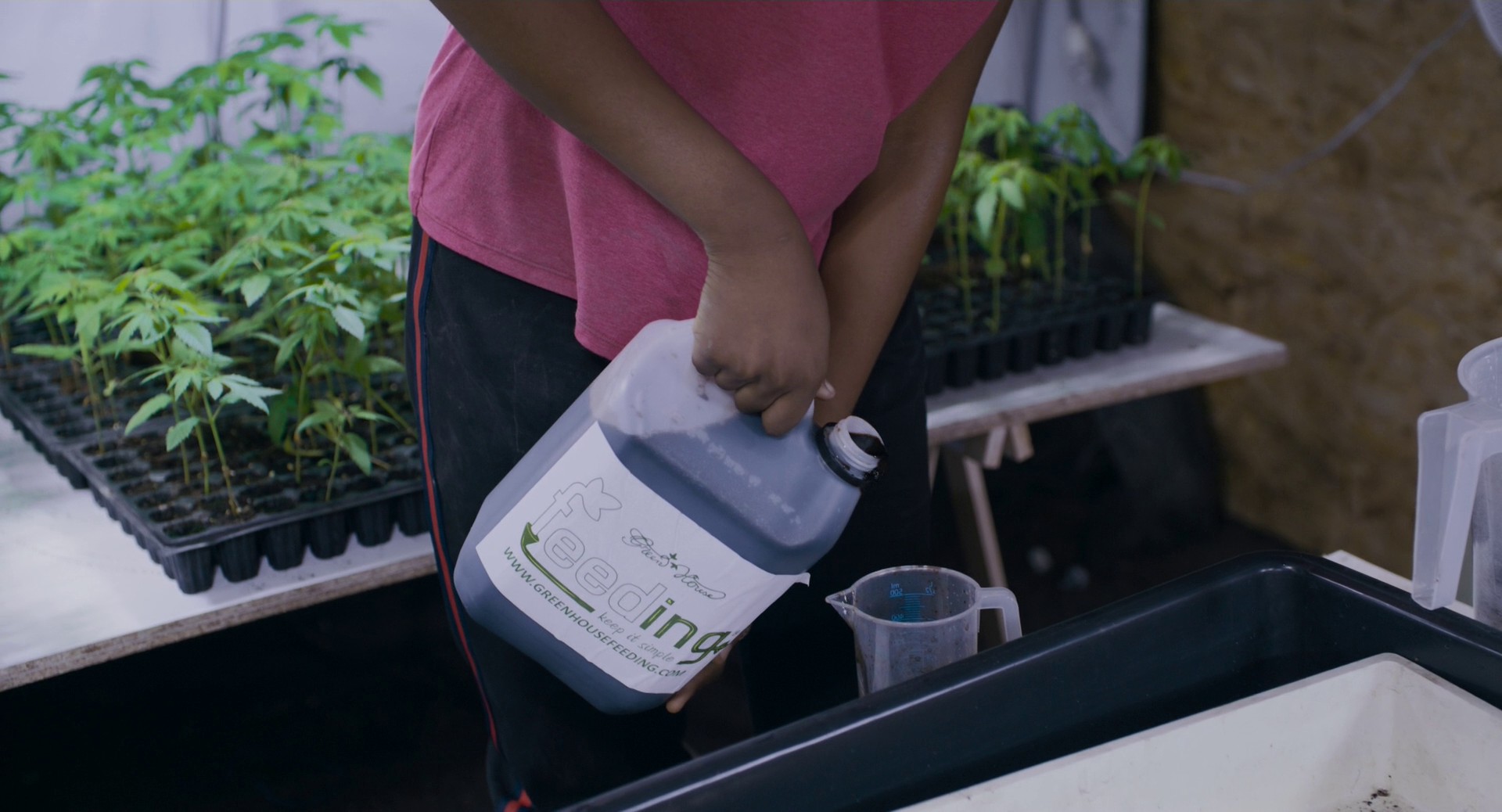 Tori and Lokita (2023) —  shot,  lighting