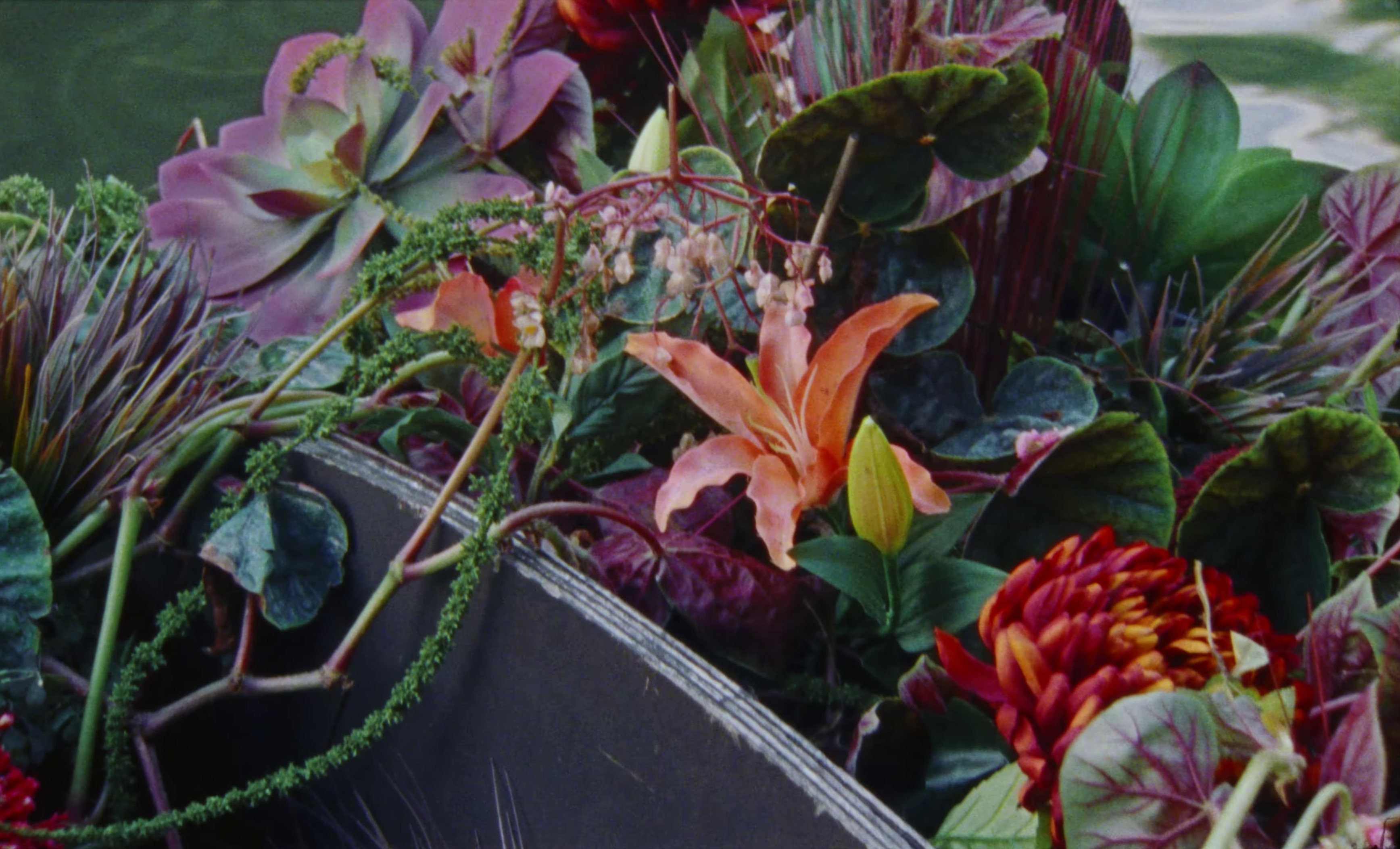 Little Blue Moon (2023) —  shot,  lighting