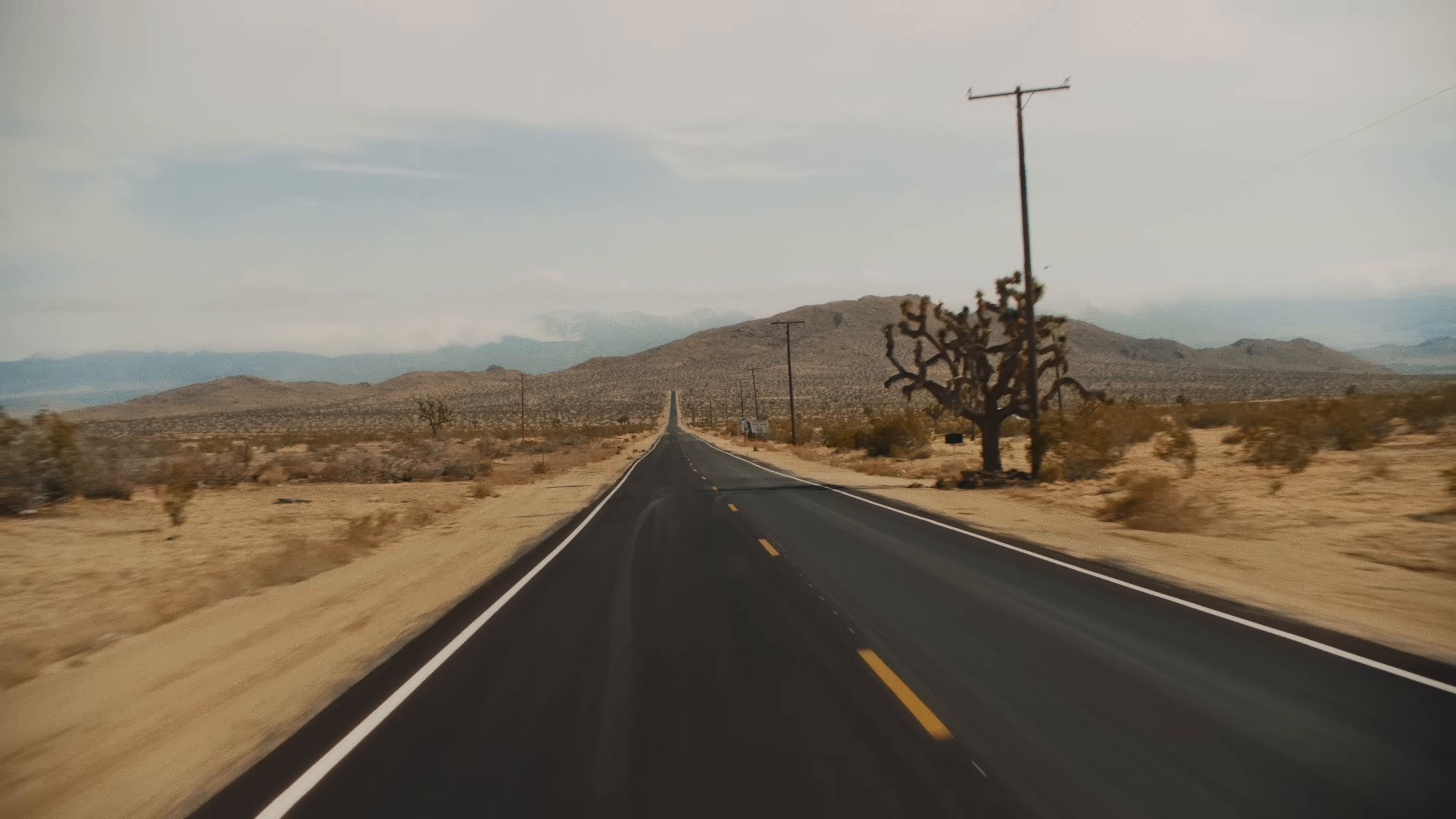 Nothing I Need (2025) —  shot,  lighting